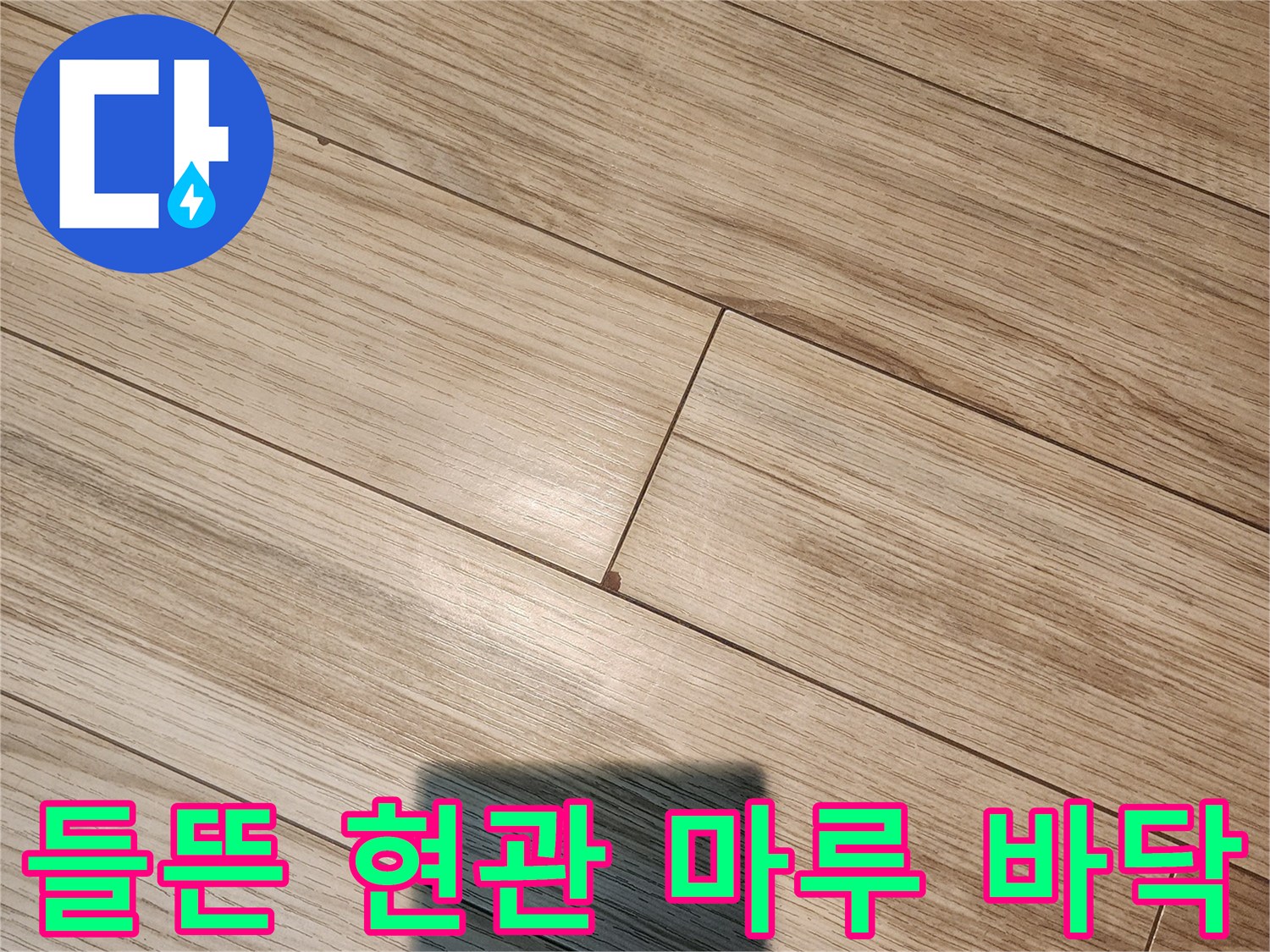 습기 침투로 불거져 나온 마루판의 모습