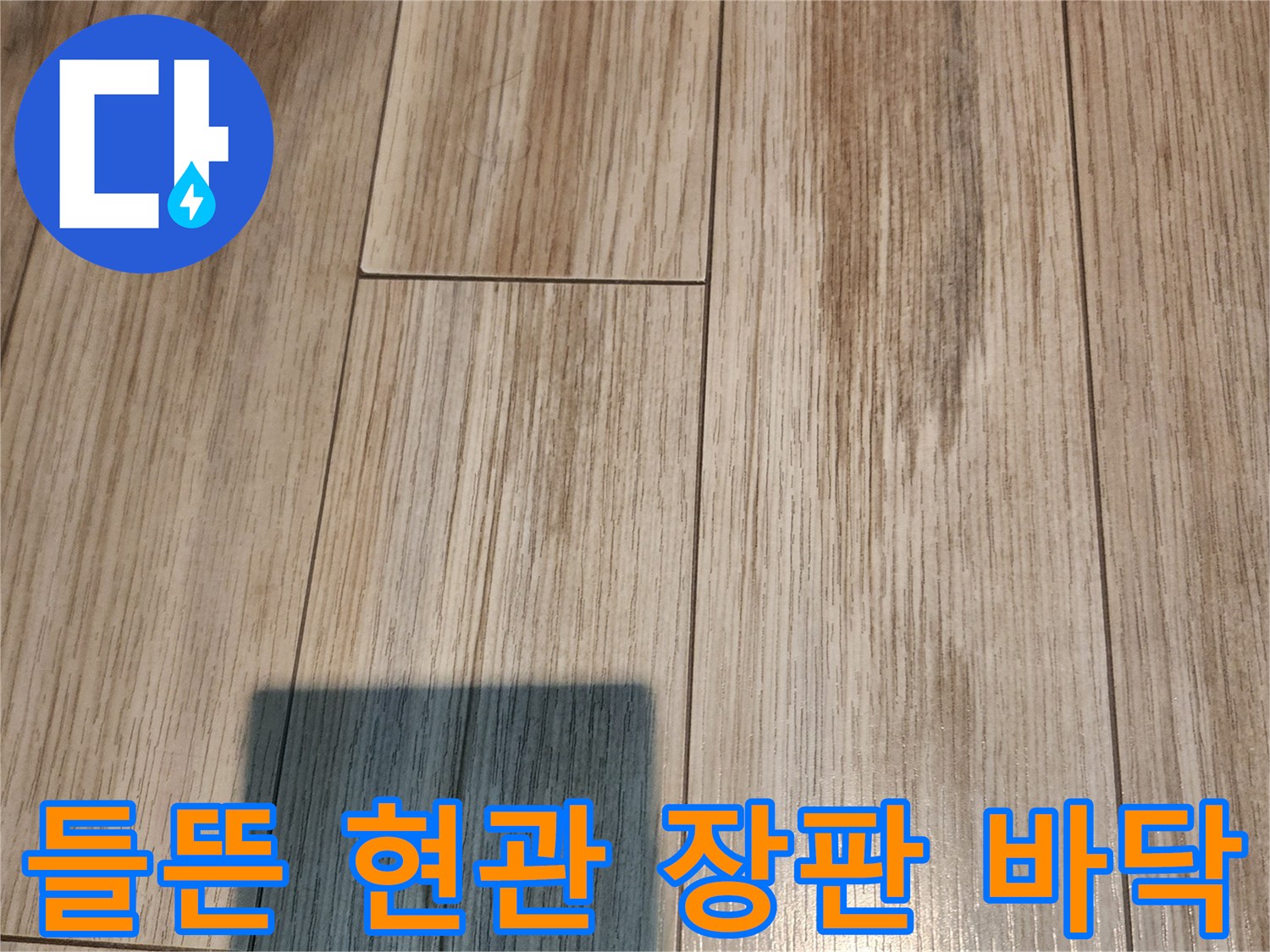 안산 부곡동-현관 입구의 들뜬 장판 모습