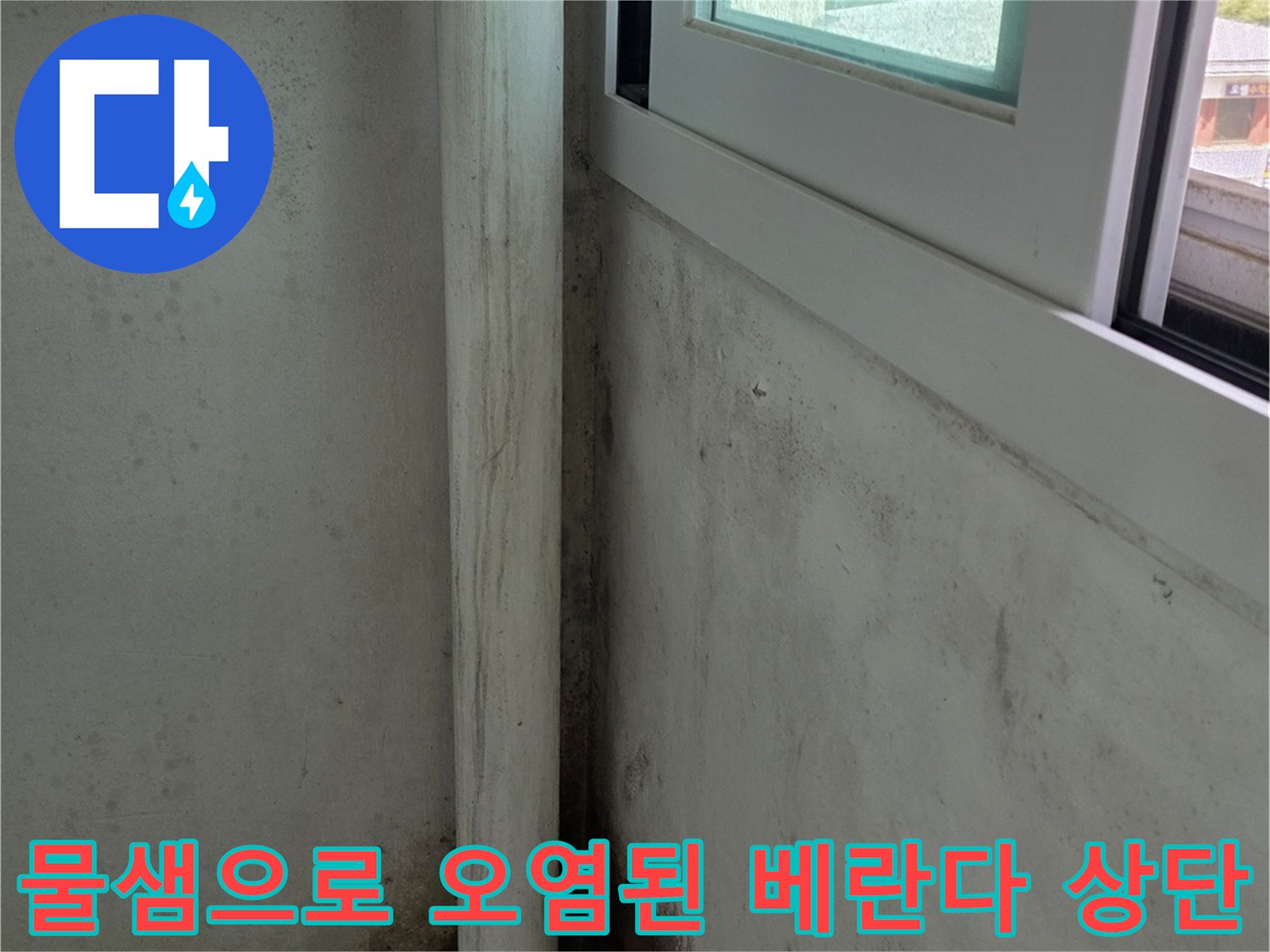 베란다-천장에-형성된-거대한-곰팡이-군락과-누수-자국