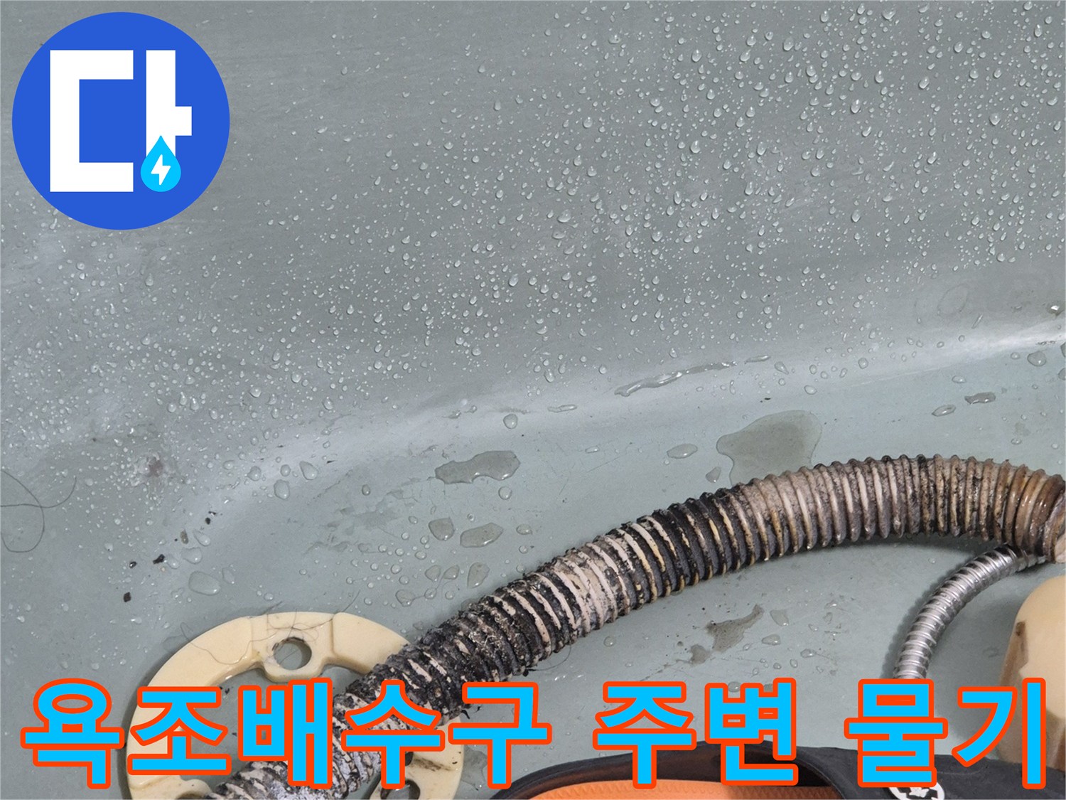 욕조-배수관-주변의-습기와-물기-상태