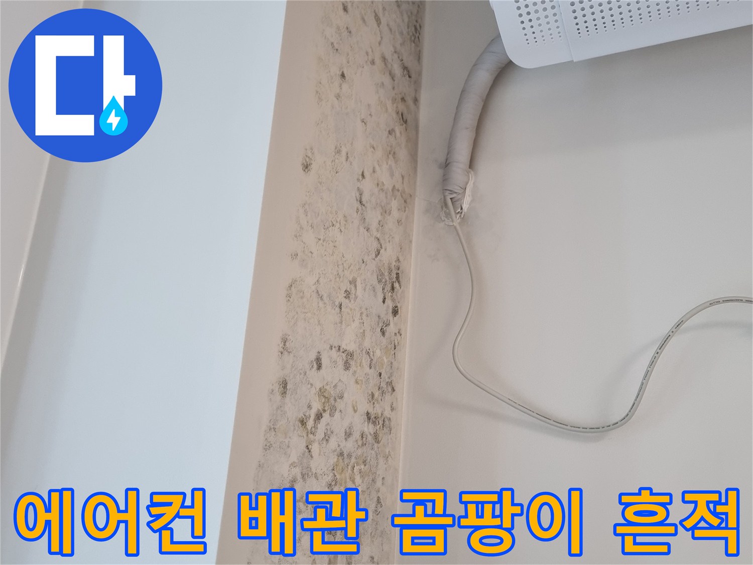 에어컨 실내기 하단-벽면 곰팡이 발생 상태