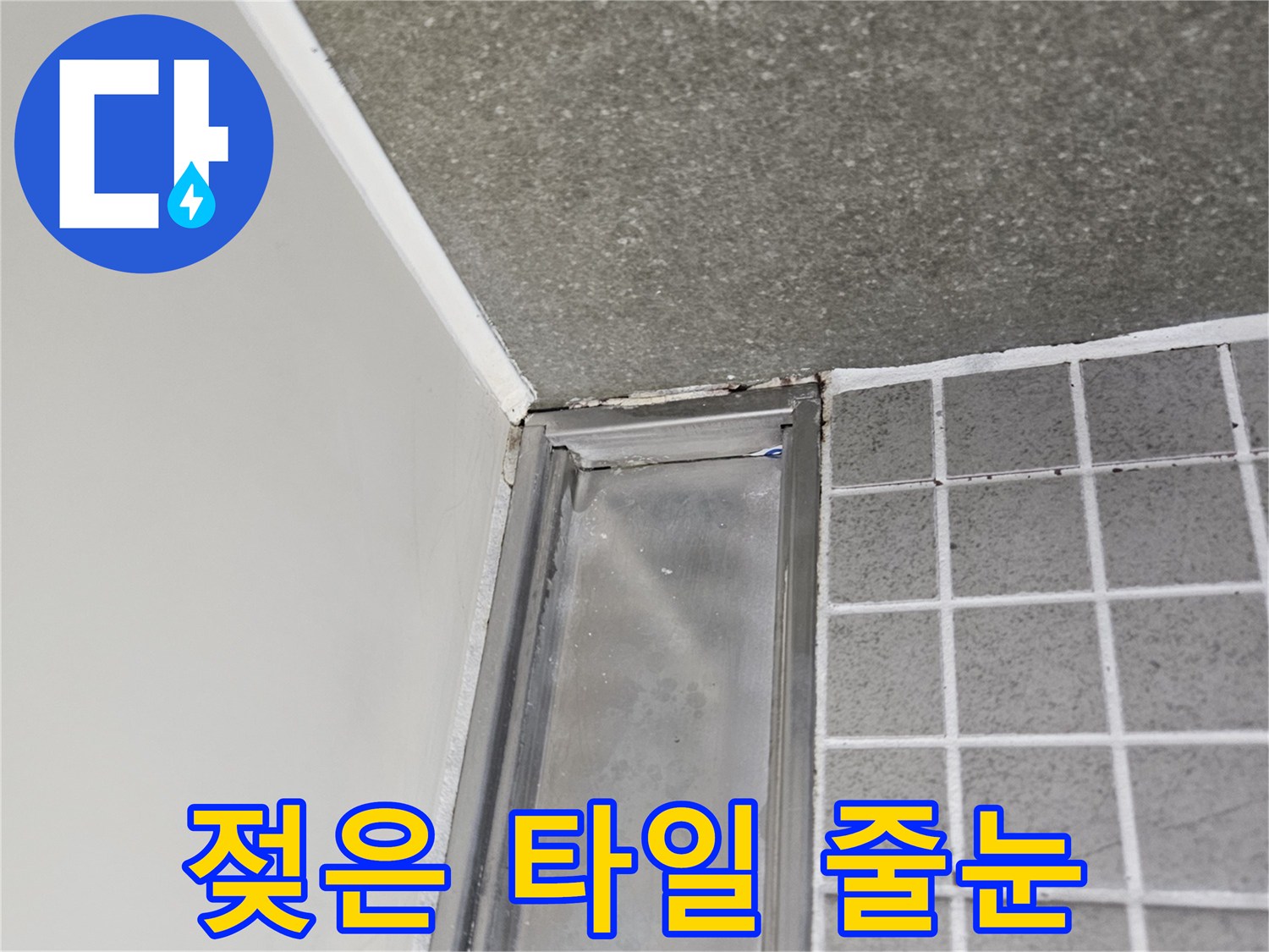 양주 옥정동-습기를 머금어 어두워진 타일 사이 줄눈