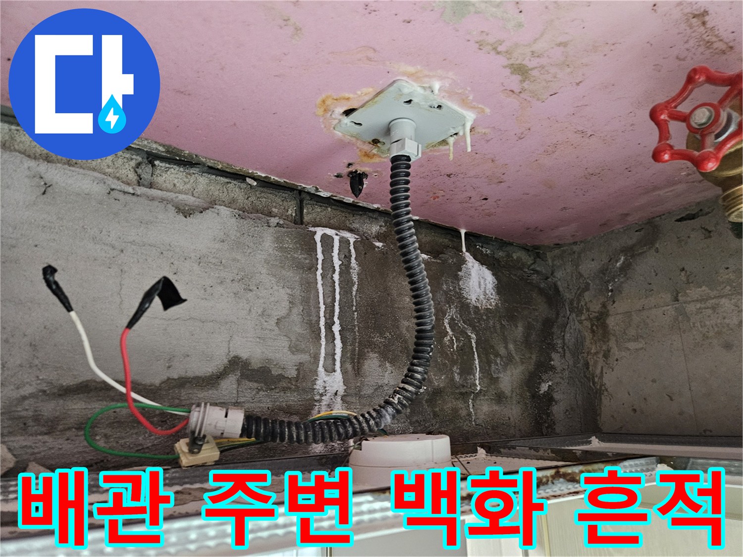천장 배관 하단에 형성된 하얀색 석회 고드름 자국