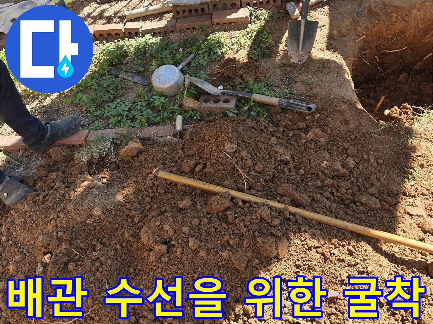 원당동 현장-나무 주변 배관 누수를 찾기 위해 파낸 토사