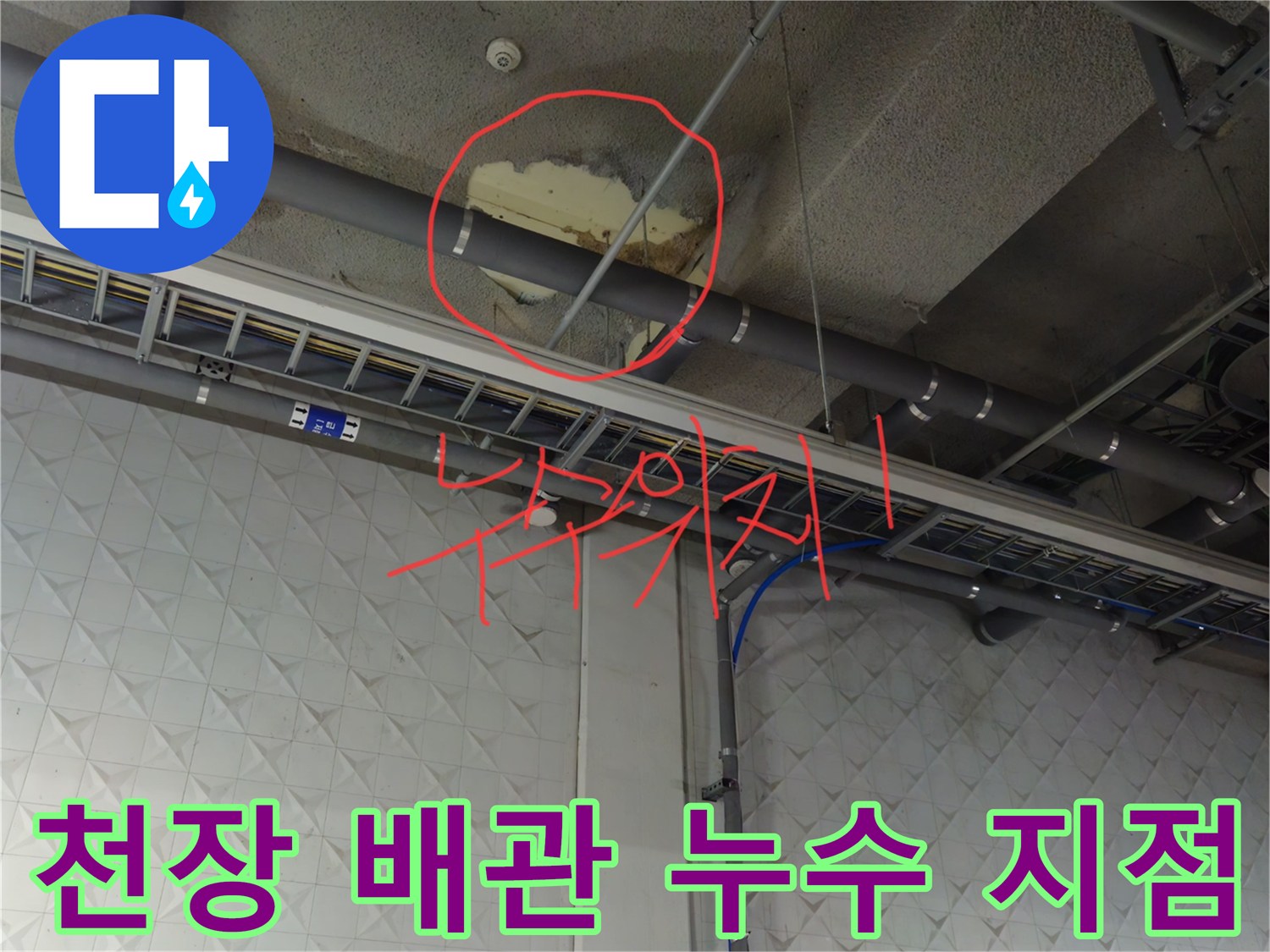 천장 배관 하부의 물샘 흔적과 젖은 부위를 강조한 사진입니다.