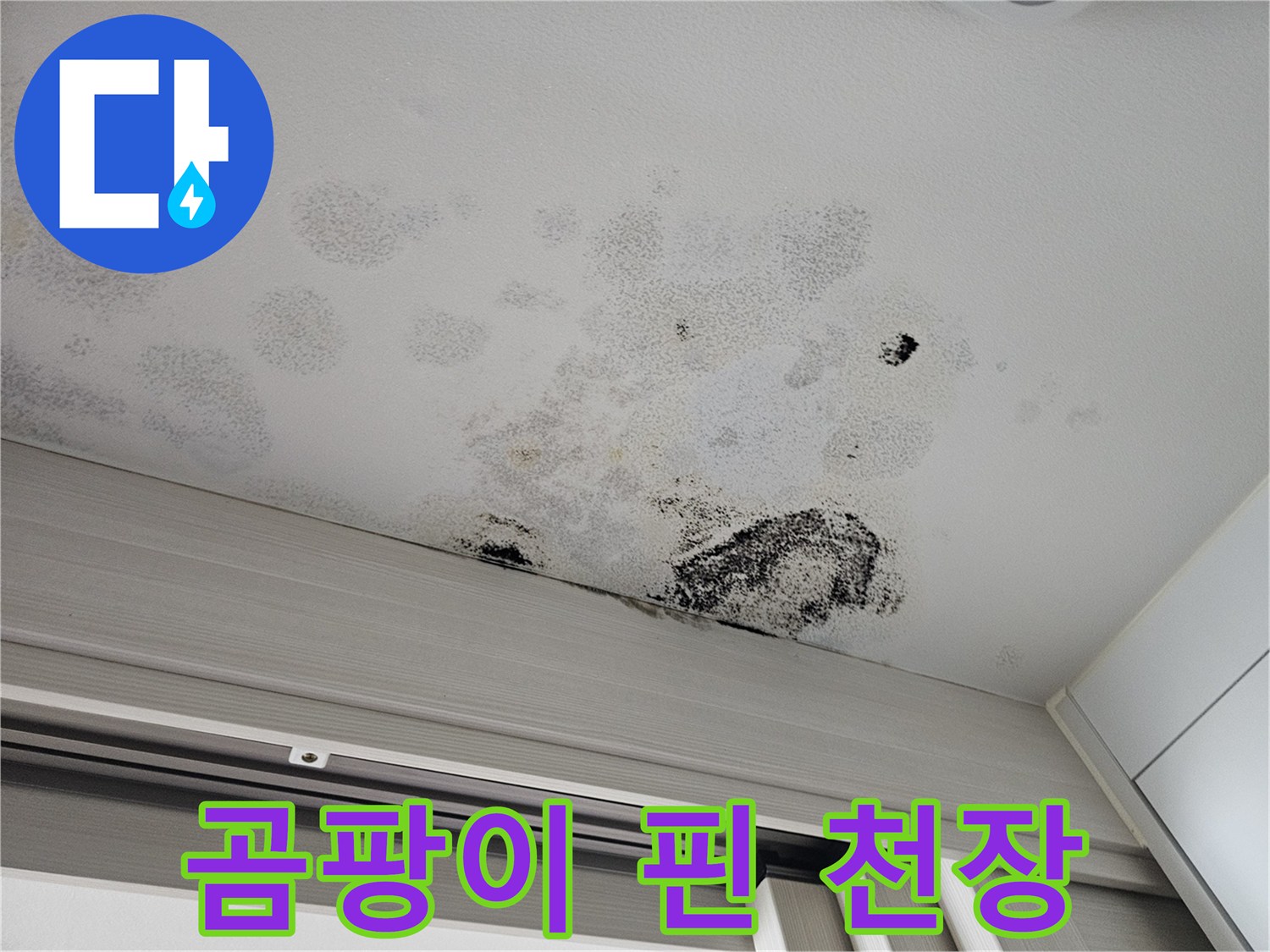 누수로-인해-발생한-천장-부위의-검은-곰팡이