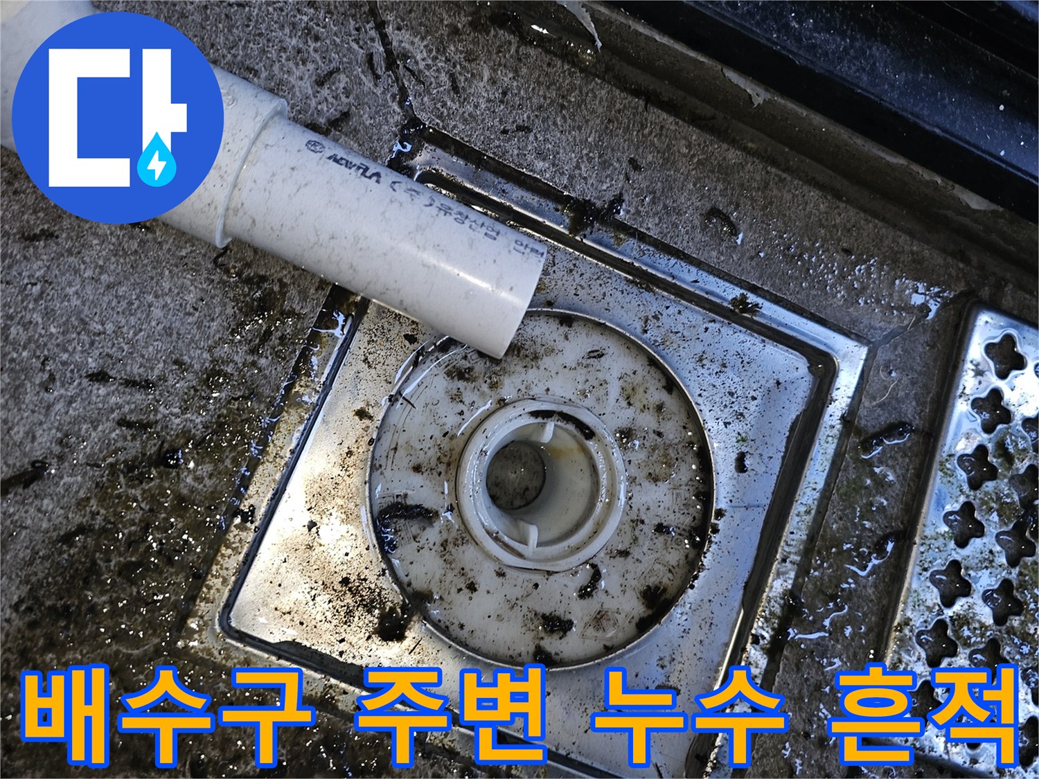 배수구-틈새로-스며든-물때와-오염된-배관-주변