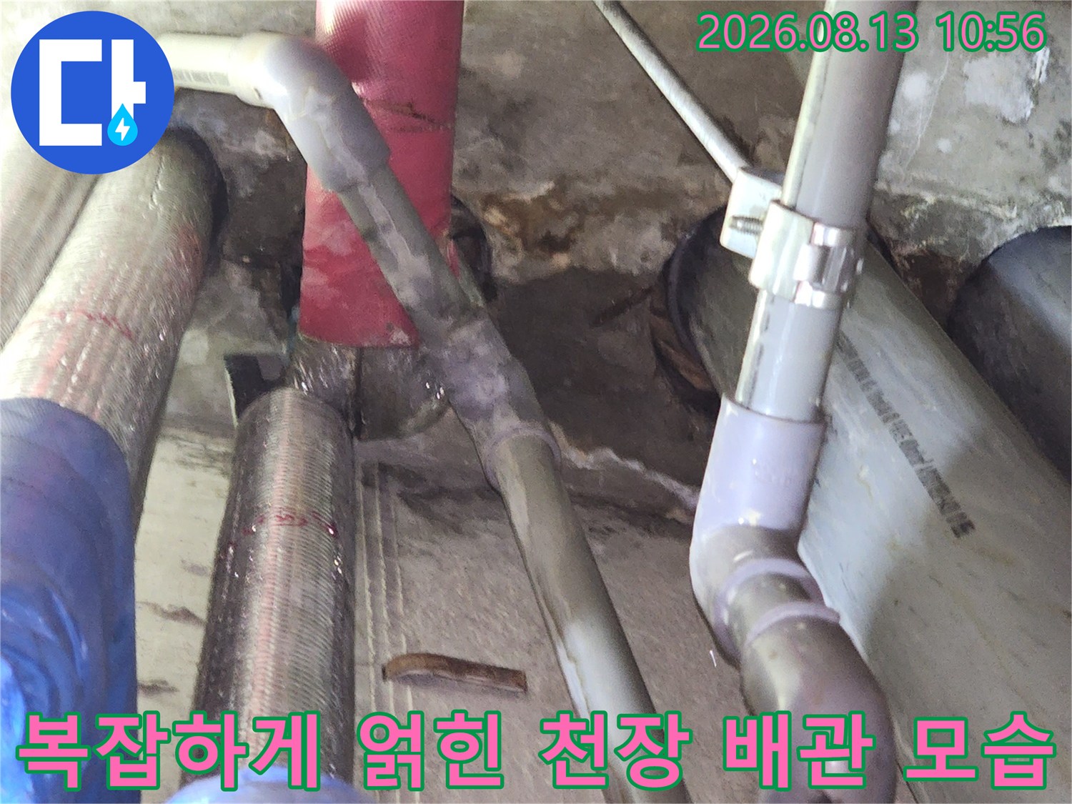 건물 천장 내부에 설치된 회색과 분홍색의 복잡한 배관 라인-누수 점검 중인 현장 사진