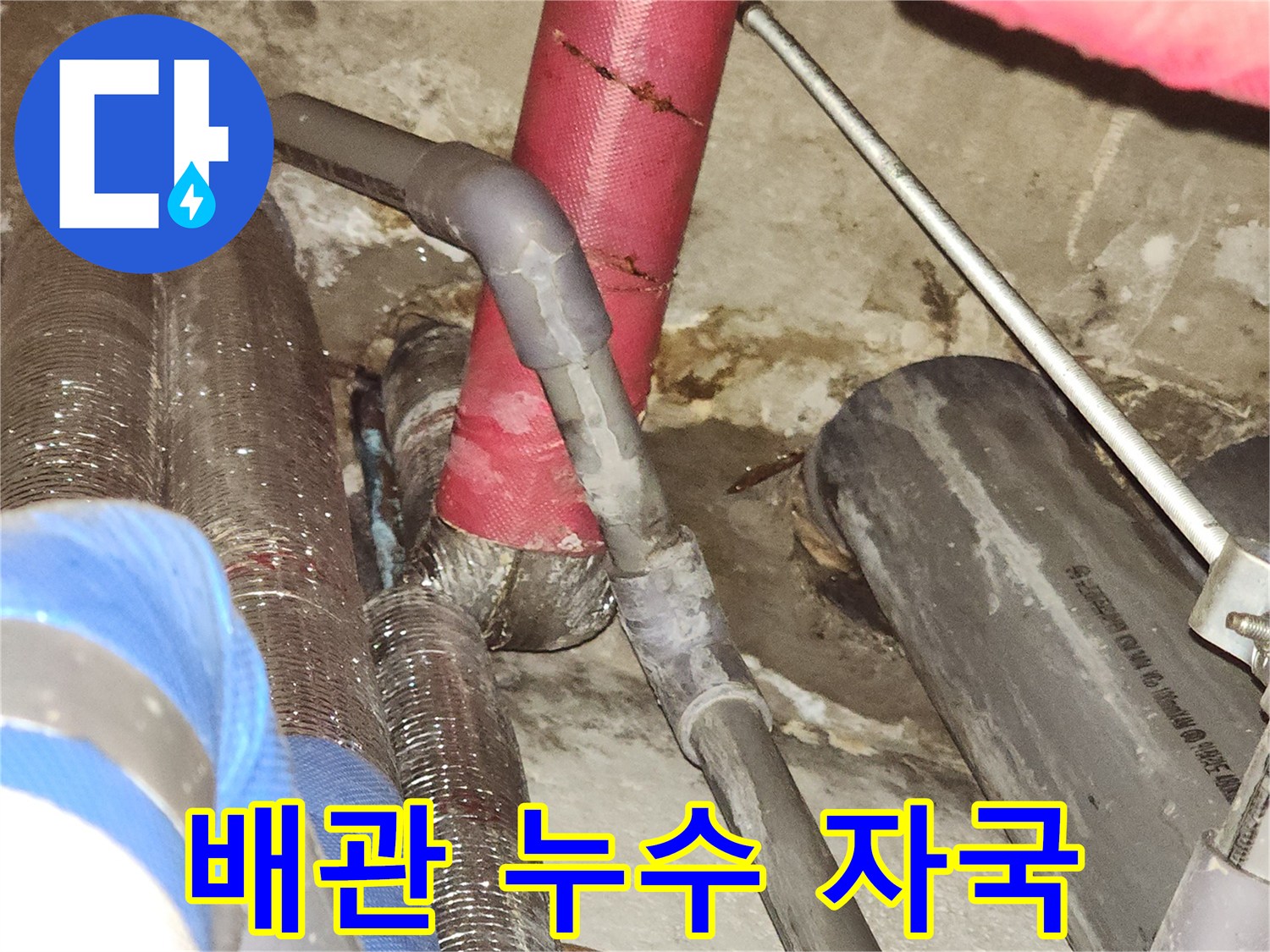 상동 천장 내부 배관 주변의 젖은 흔적과 습기 상태