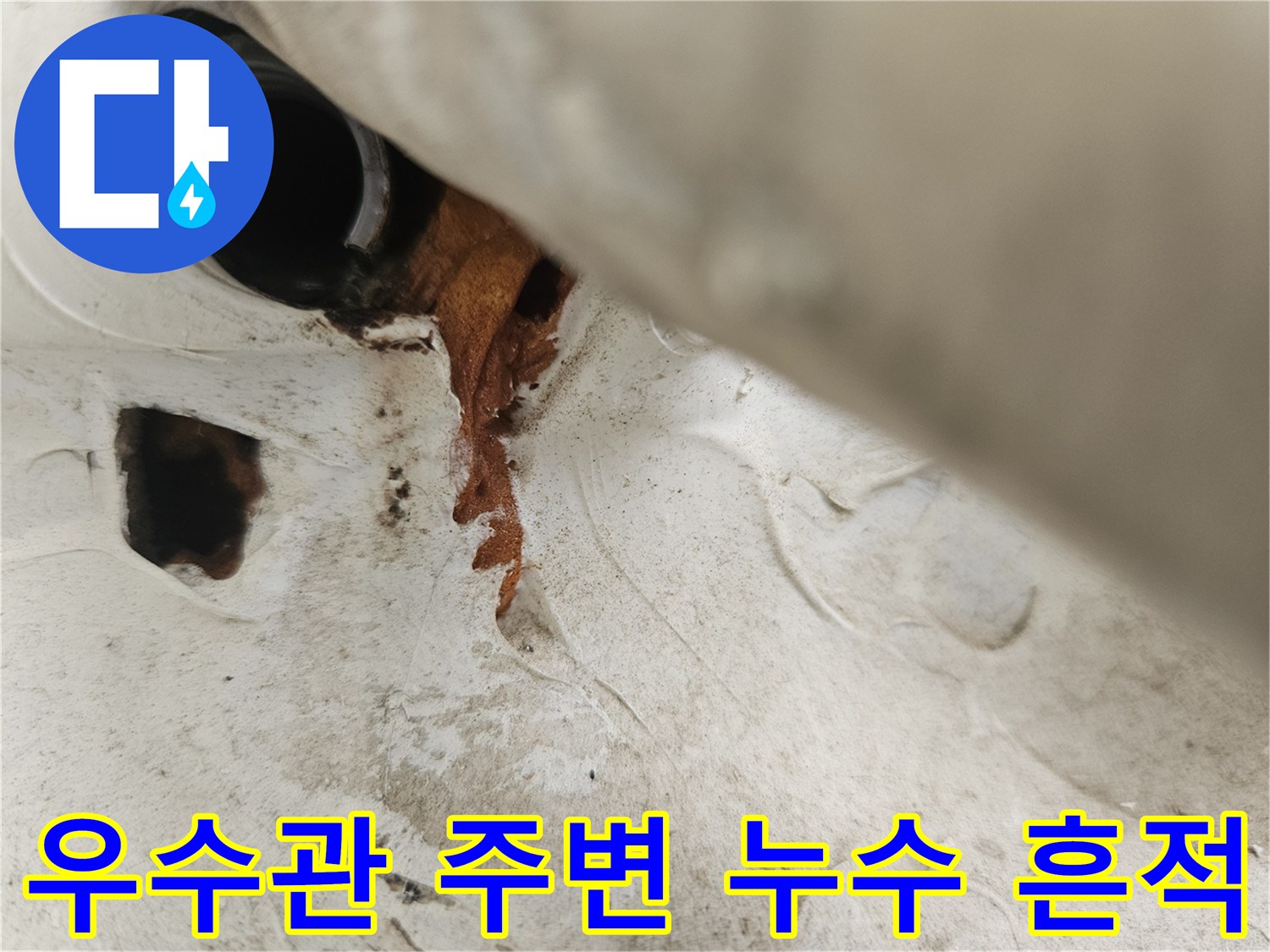 분당 정자동 현장의 우수관 배관 주변에 나타난 젖은 얼룩과 변색된 모습입니다.