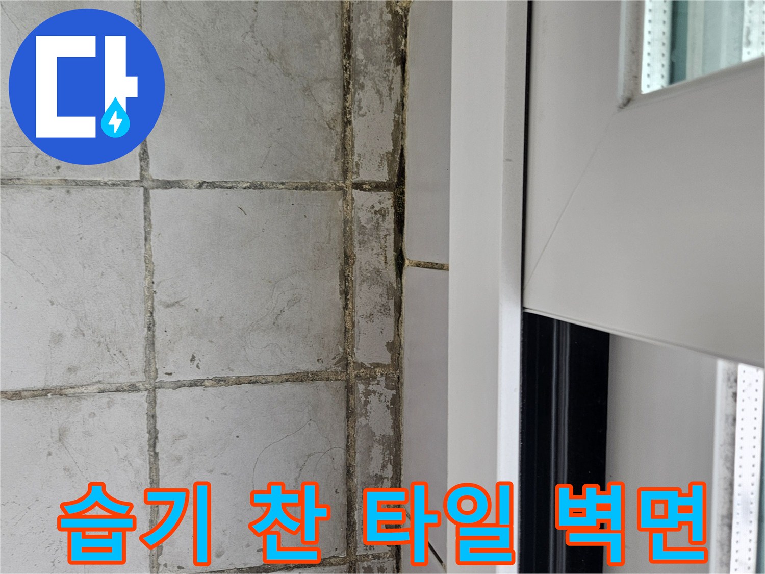정자동 현장 - 누수로 인해 변색되고 오염된 타일 줄눈 부위