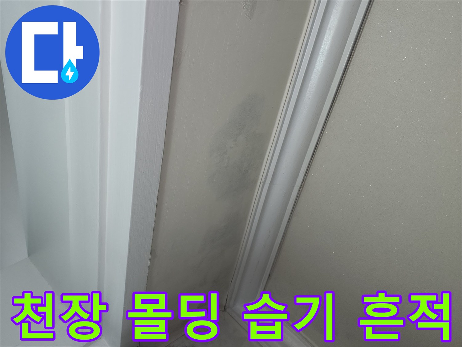 몰딩 주변의 어두운 누수 얼룩 및 곰팡이 발생 부위