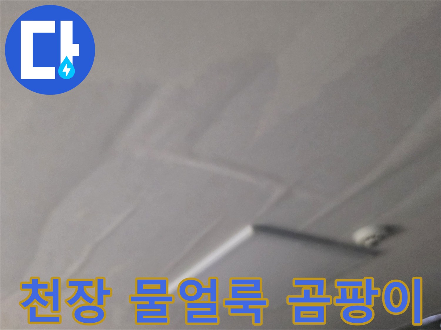 남양주 별내동 상가주택-천장에 발생한 심한 물 얼룩과 곰팡이 상태