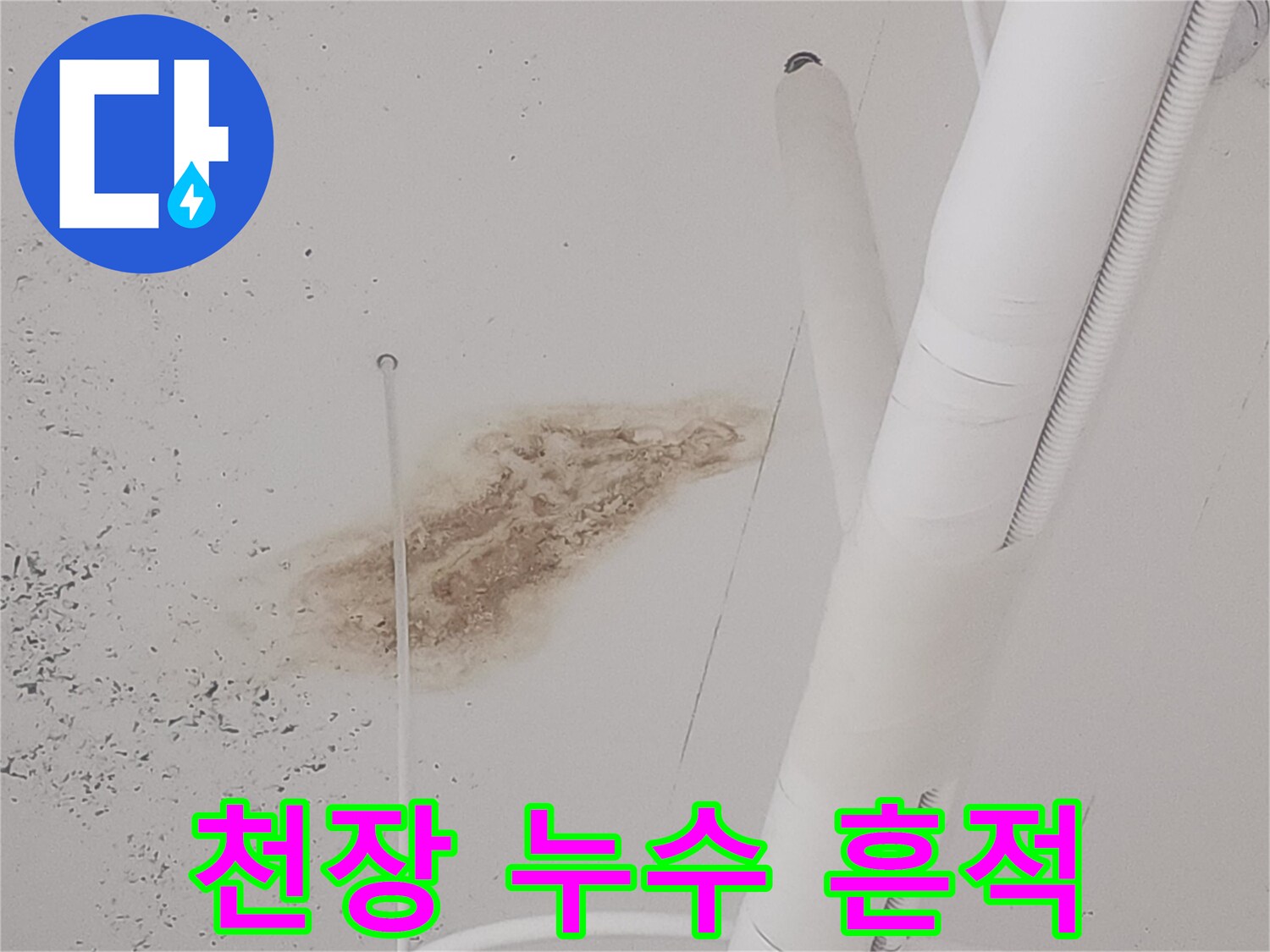 고양시 덕양구 식당-천장 물샘 변색 부위