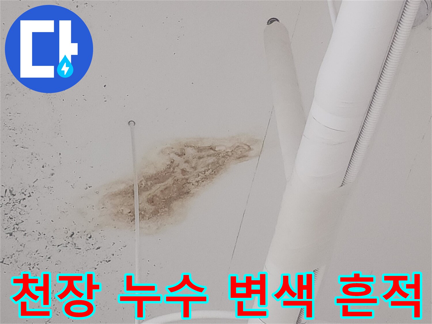 덕양구 식당 천장의 갈색 누수 흔적과 배관 상태