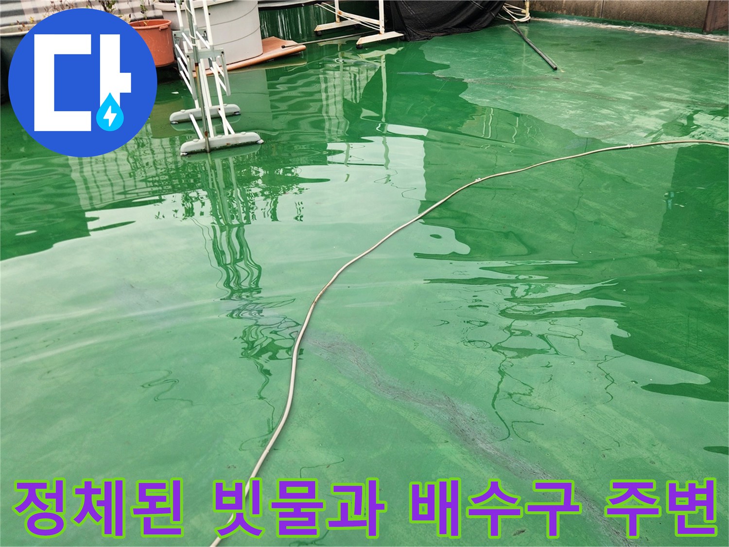 배수구로 흐르지 못하고 고여 있는 빗물 사진