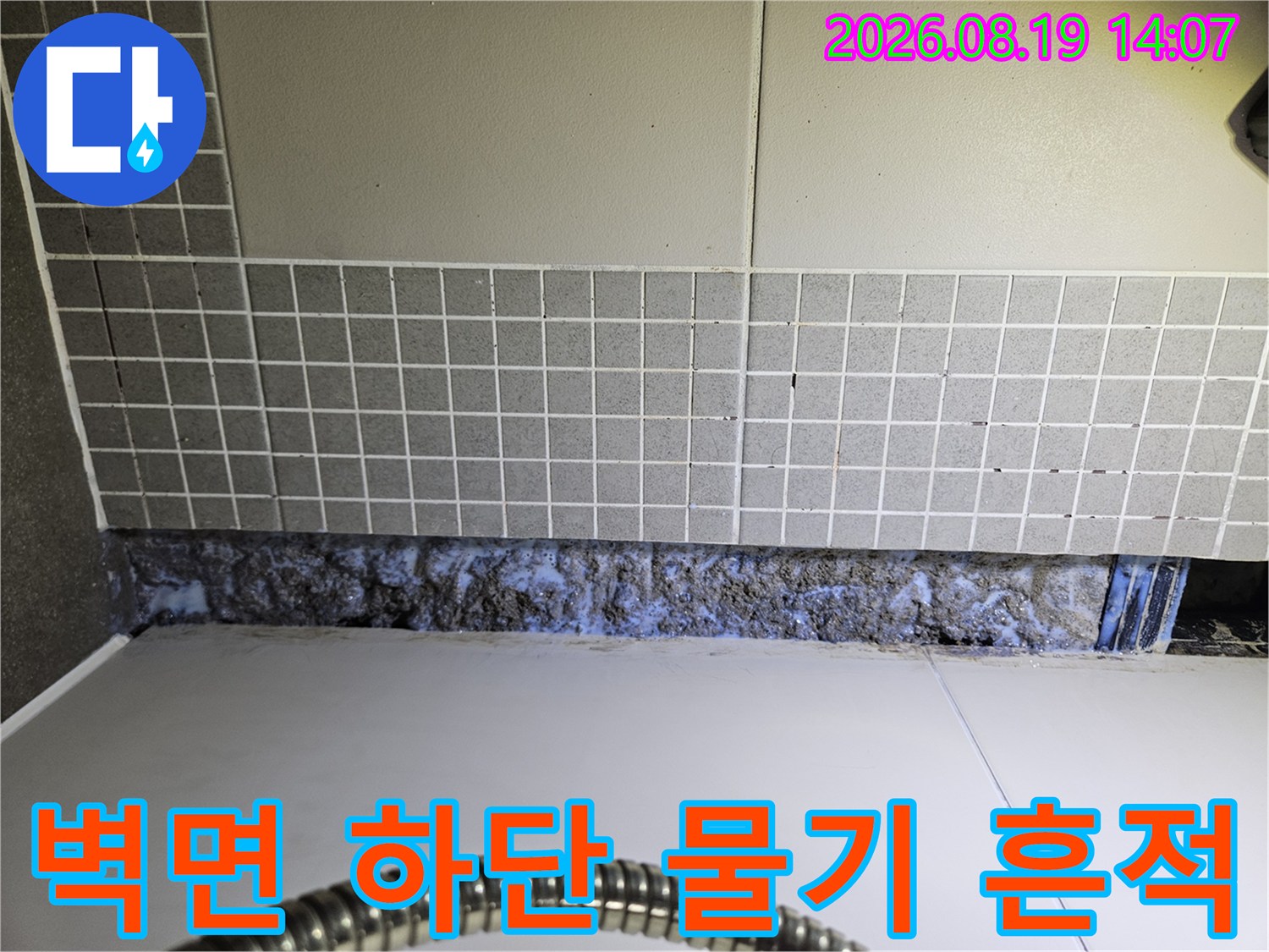 양주 옥정동-타일 경계 부근의 습한 곰팡이 오염