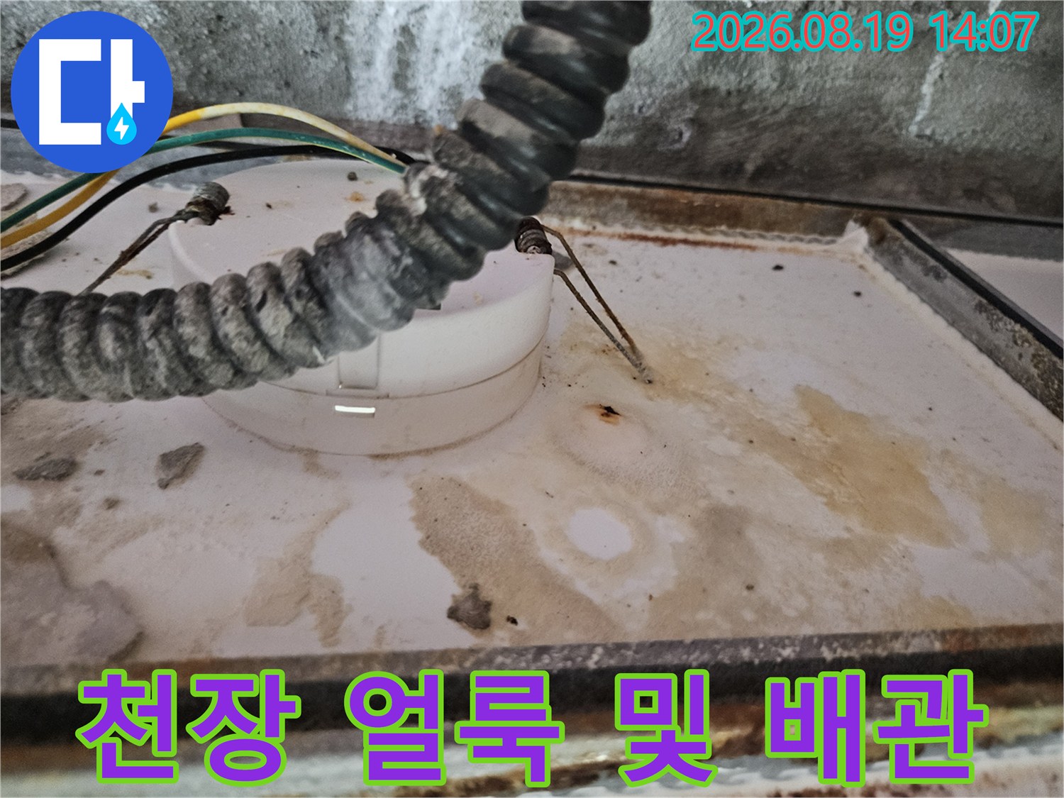 천장 배관 주변의 습기 흔적과 노출된 전선