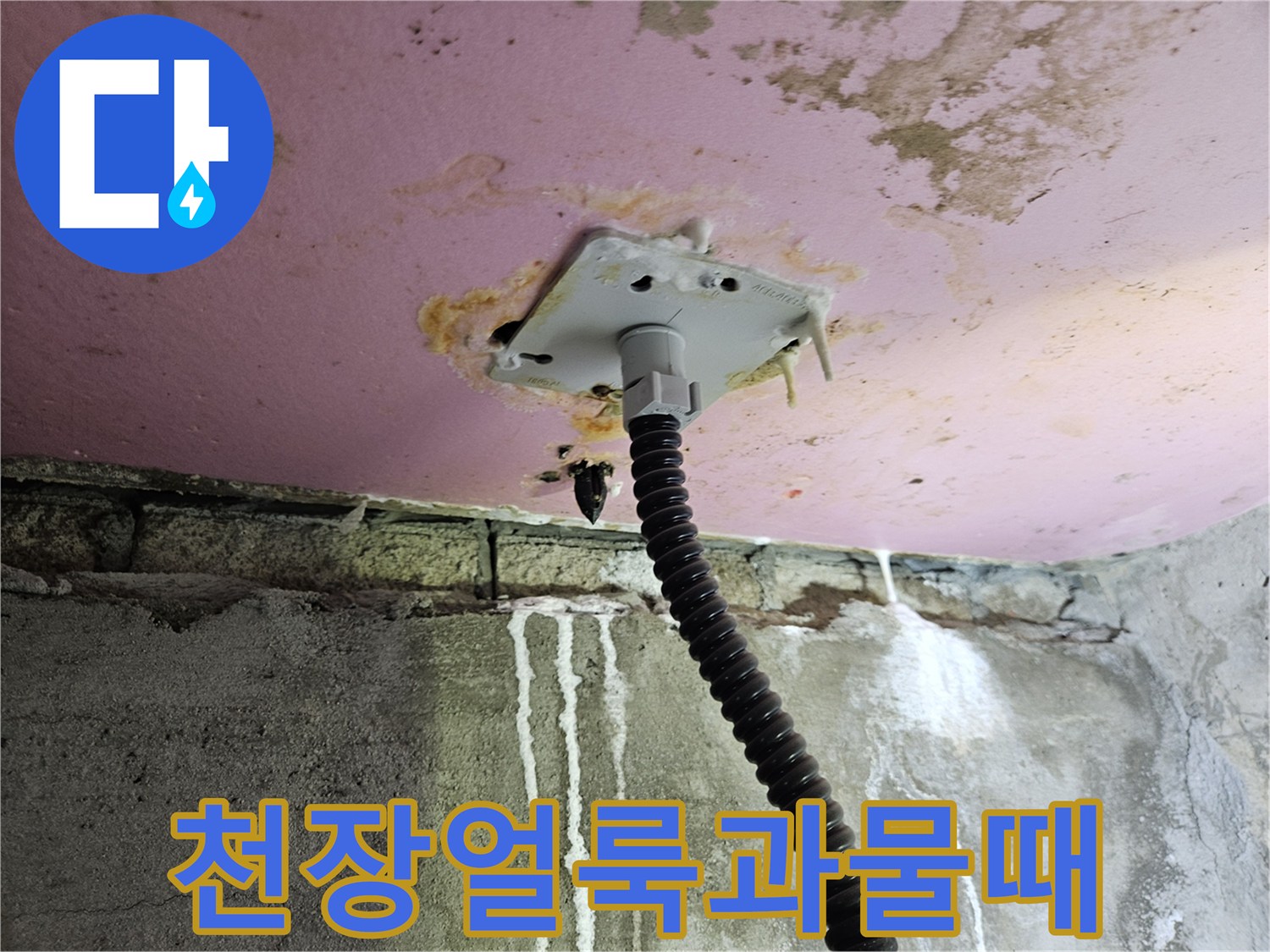 축축하게 젖은-천장 마감재와 배관 주변의 오염 상태