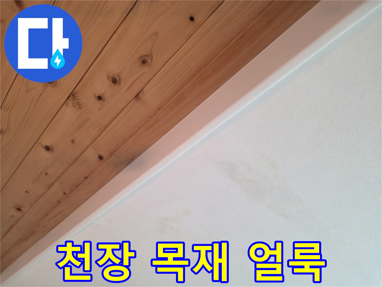 나무 천장과 흰 벽 사이의 습기 번짐