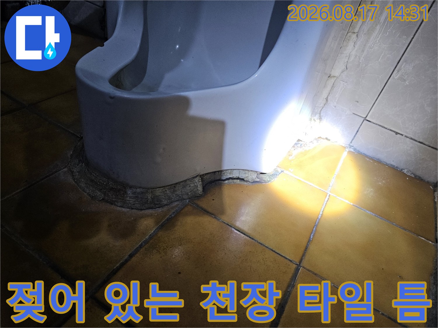 습기가 침투하여 젖어 있는 지하 천장 타일 부위