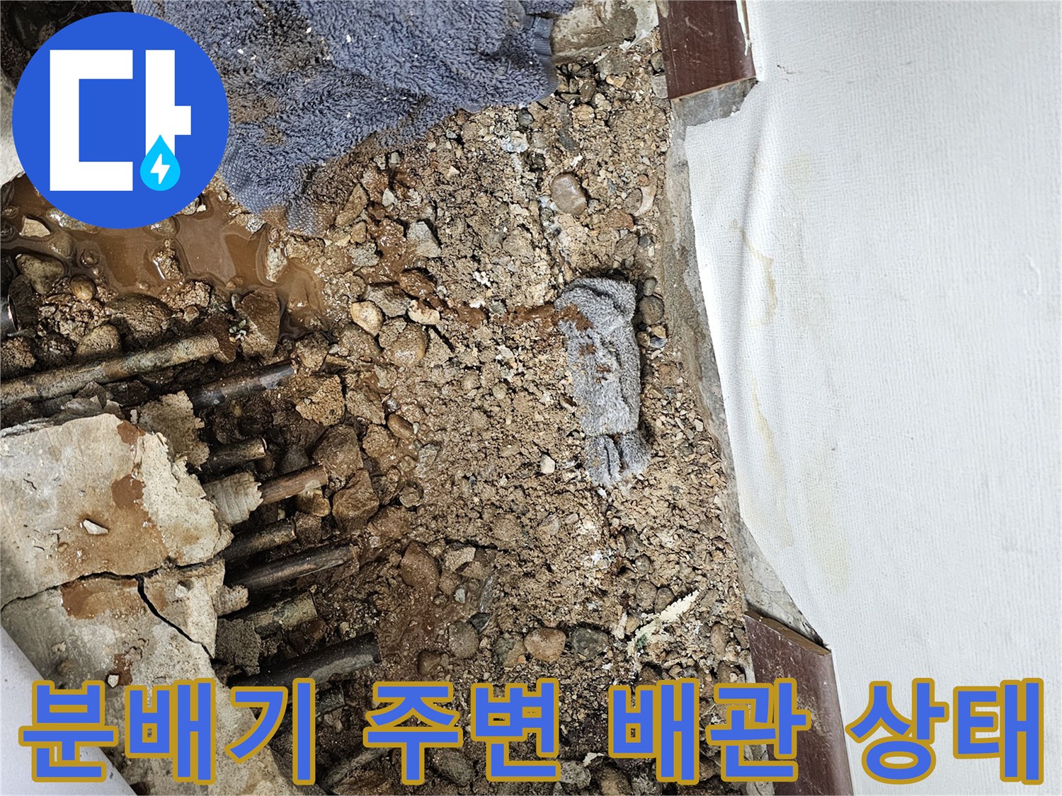 물샘 현상이 발견된 분배기 하단 매립 배관 및 흙 상태