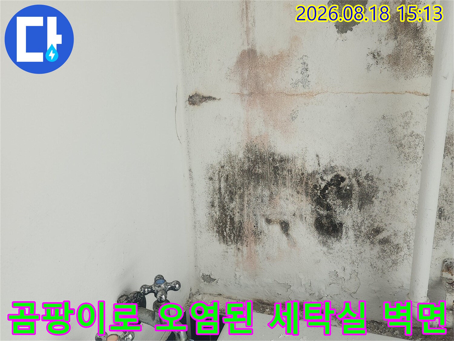 세탁실 수도 연결부 근처의 심각한 곰팡이 및 물자국