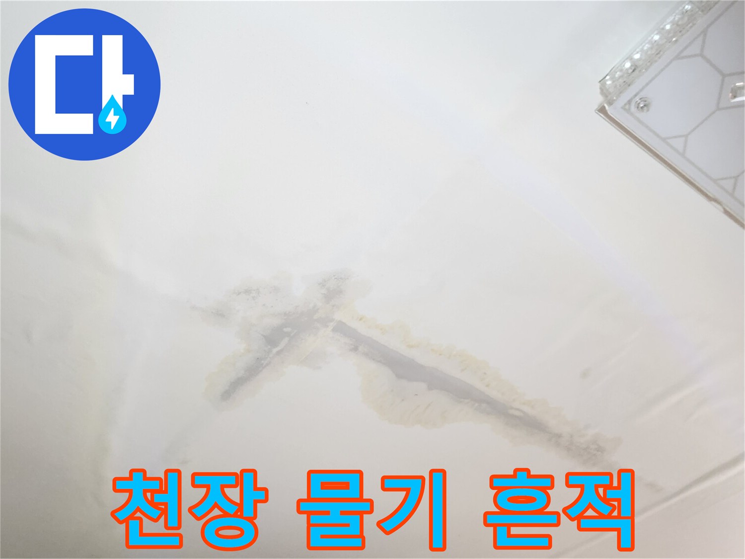 물샘으로 인해 젖은-천장 마감재 상태