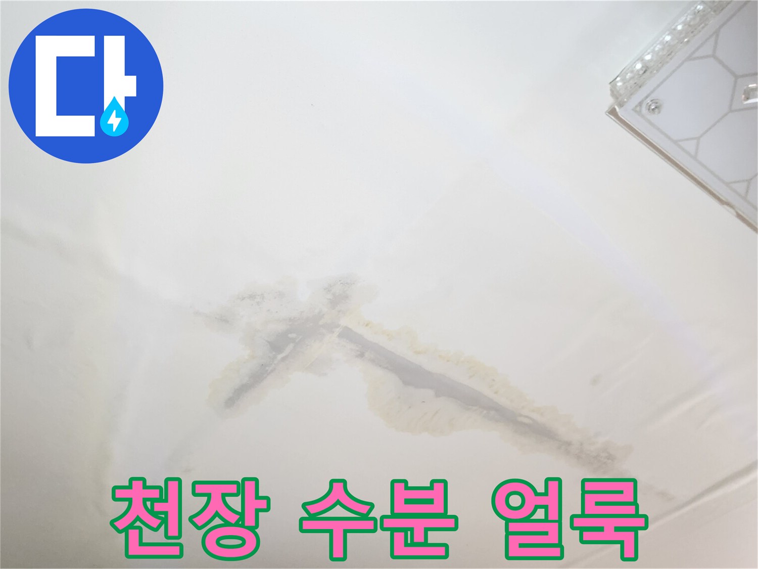 습기로 인해 갈색으로 변한 천장 마감재 부위