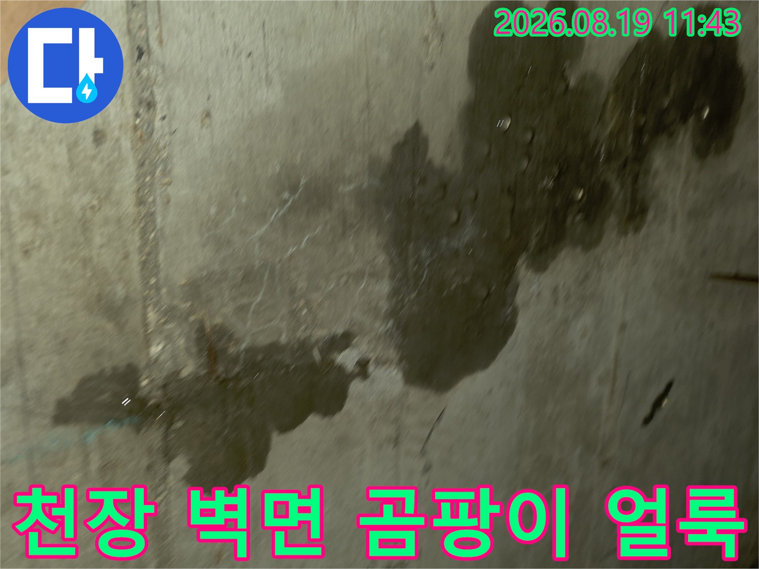 누수로 인해 오염된 콘크리트 벽면-습기로 인한 곰팡이와 검은 얼룩 발생