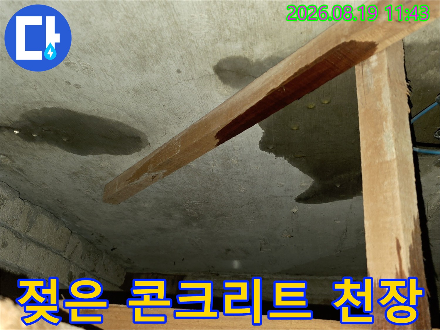 물기가 스며들어 어둡게 변한 빌라 욕실 천장 구조물 현황