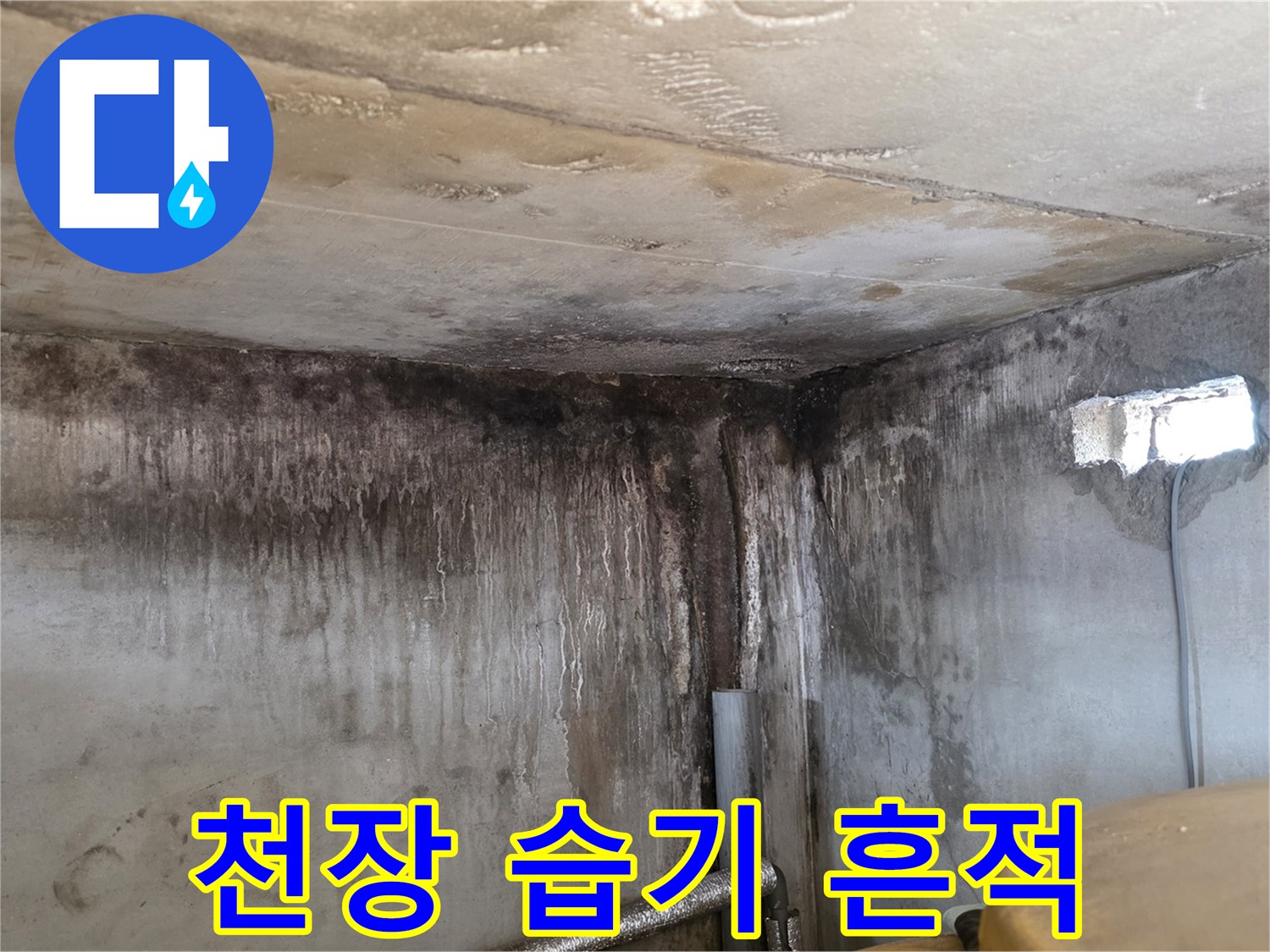 포천 신읍동 현장-천장 벽면의 심한 물자국과 곰양 흔적