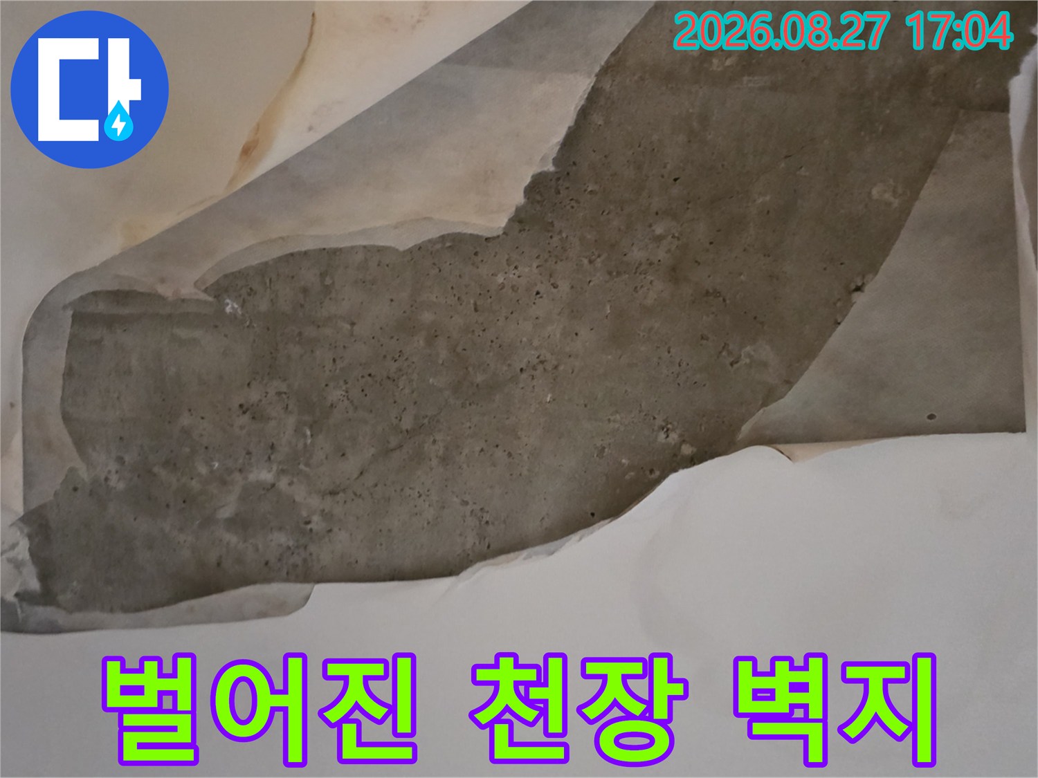 누수로 인해 젖어서 벌어진 천장 도배지와 내부 콘크리트