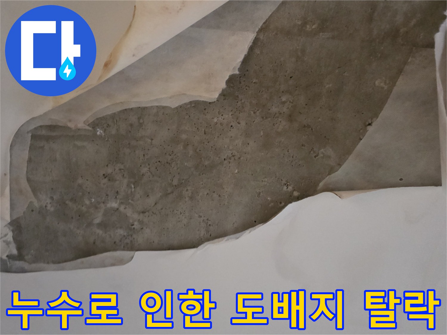 물에 젖어 들뜬-천장 내부의 콘크리트와 마감재