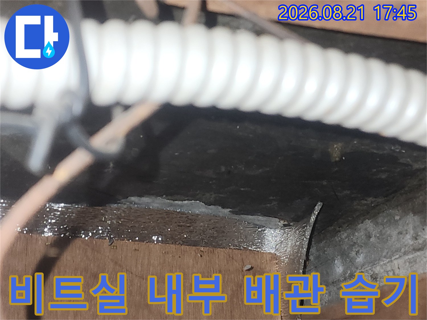 배관 주변 콘크리트와 목재의 습윤 상태 사진