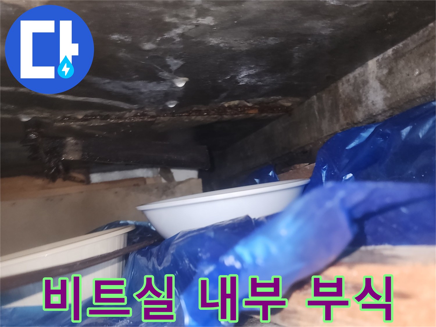 부식된-철근과-습기가-가득한-비트실-내부-상태