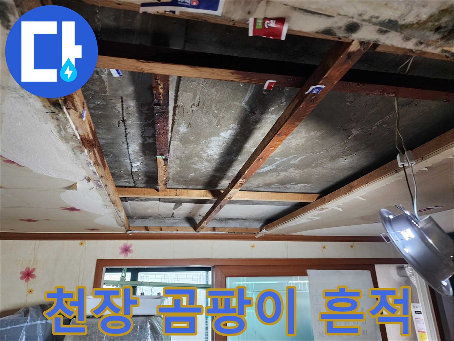 물샘-현상으로-발생한-천장-내부의-곰팡이와-습기