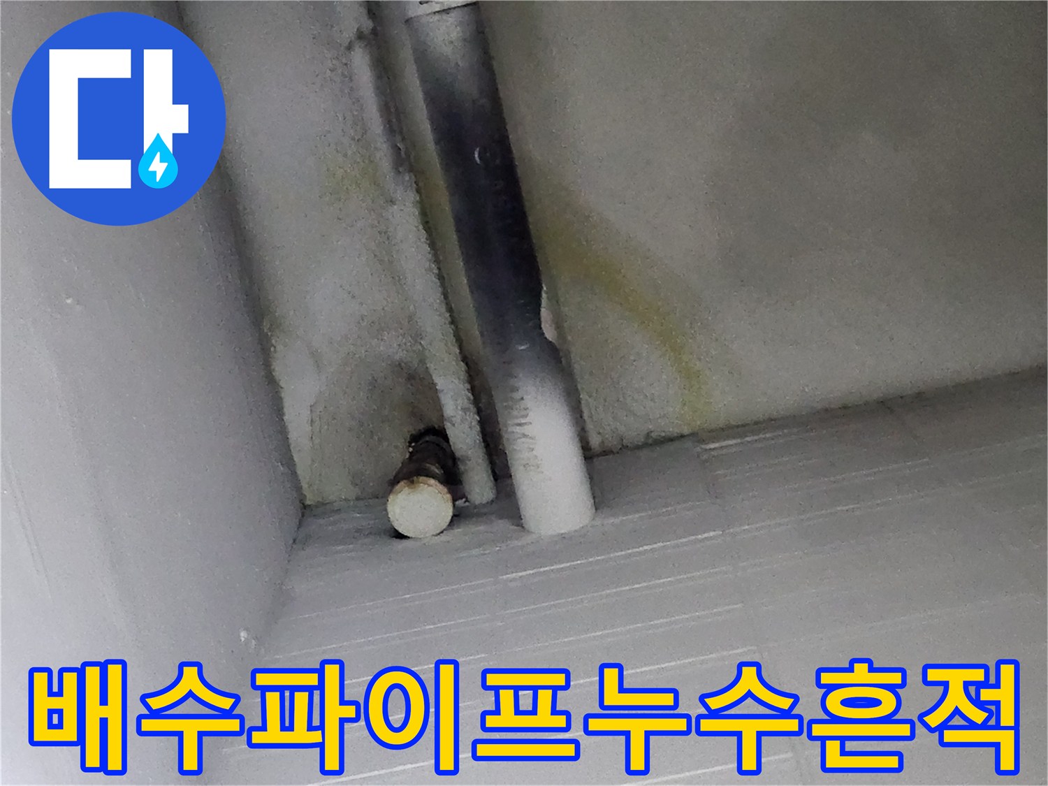 싱크대-하부-배수관-주변-습기-및-오염-상태