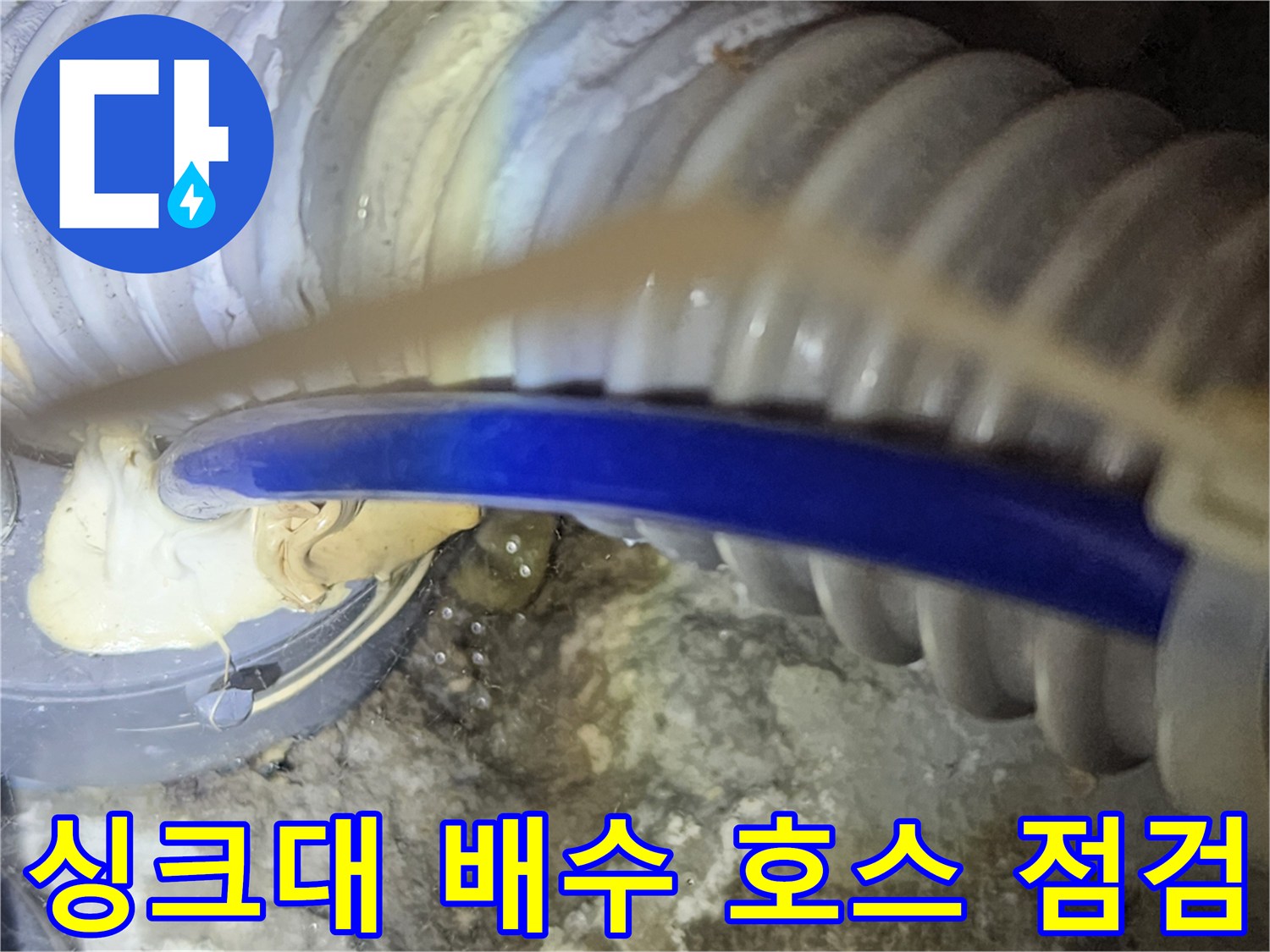 파란색 배수 호스와 흰색 주름관 연결 부위의 오염 상태를 확인하는 모습
