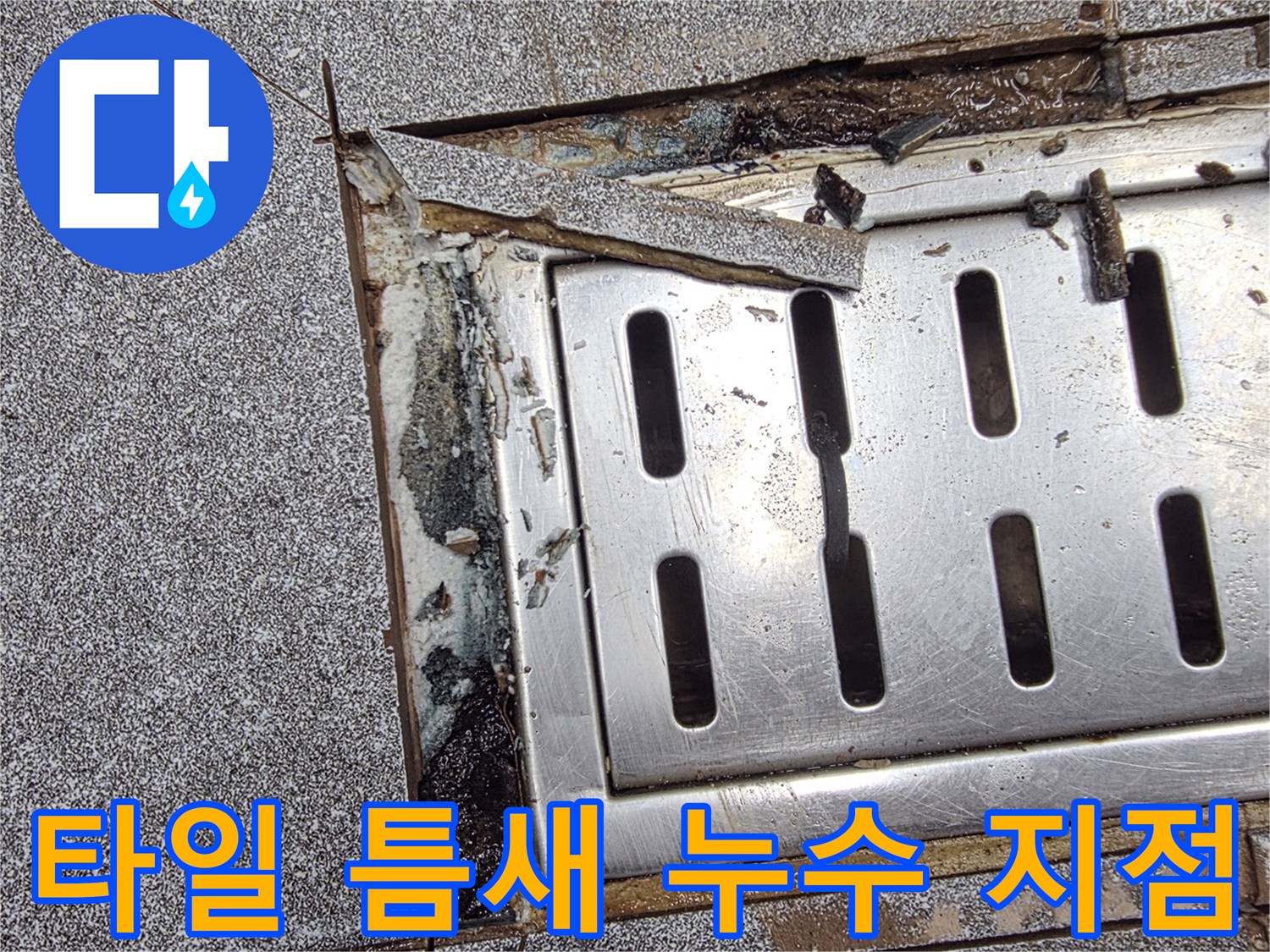 배수구-주변-타일-파손-및-누수-경로-확인-작업