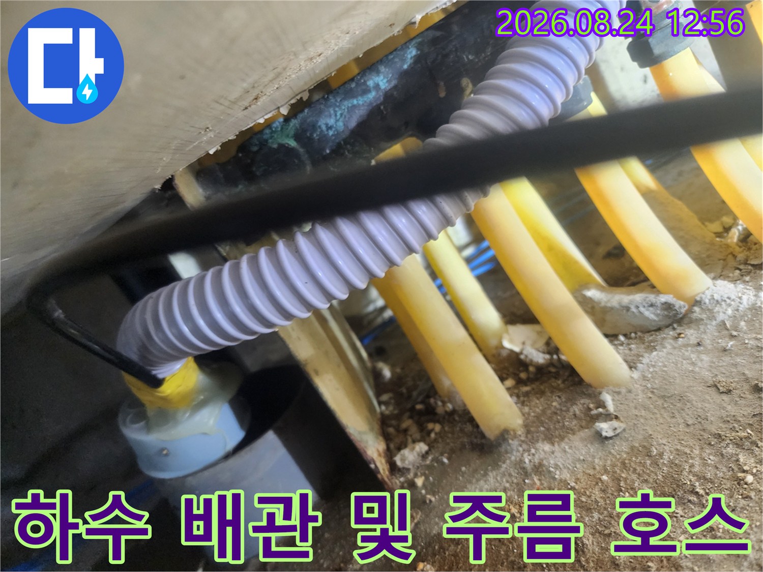 노란색 하수관과 흰색 주름관이 연결된 싱크대 밑 모습