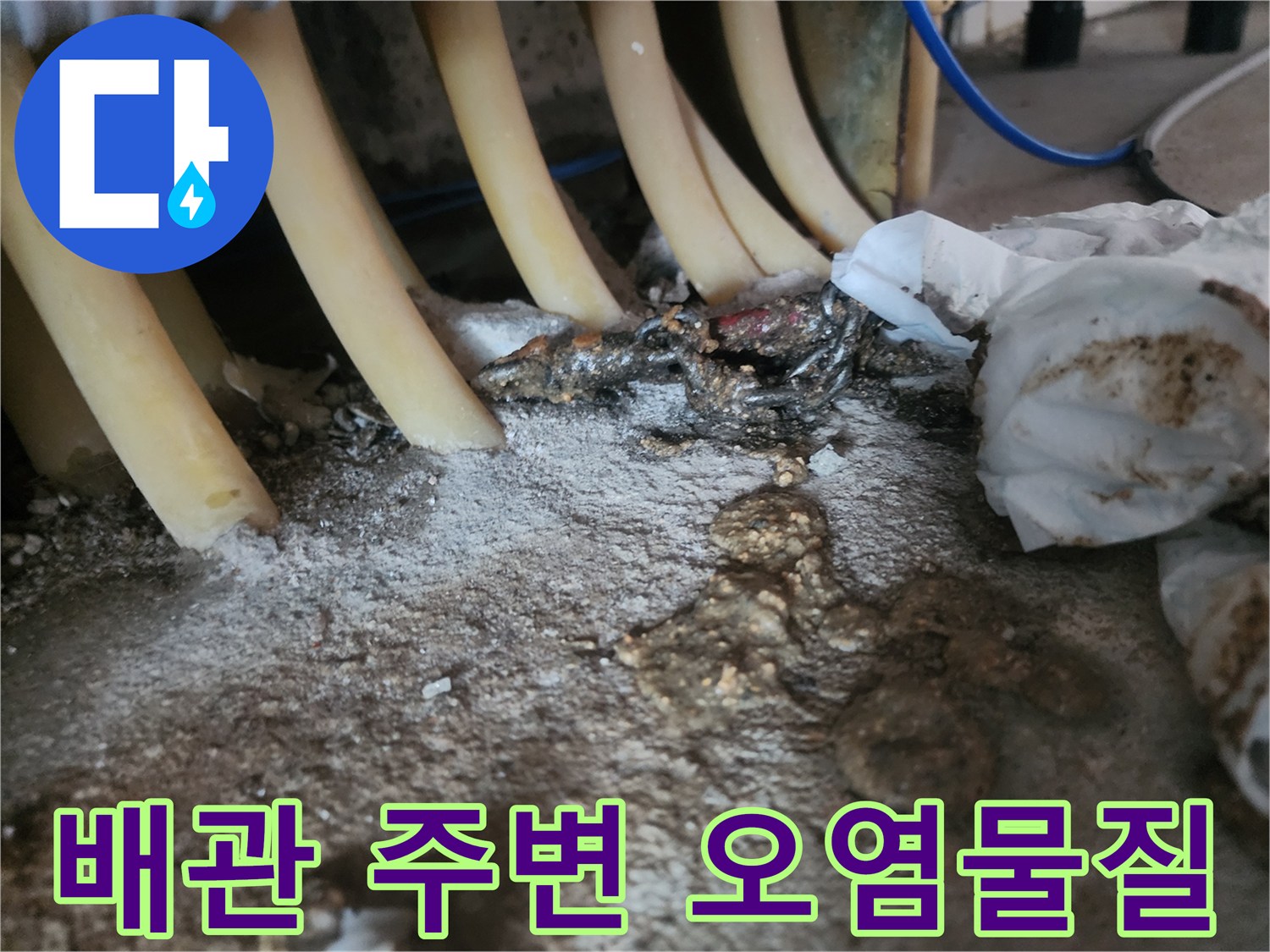 복잡하게-얽힌-배관-주변의-슬러지와-오염된-바닥면