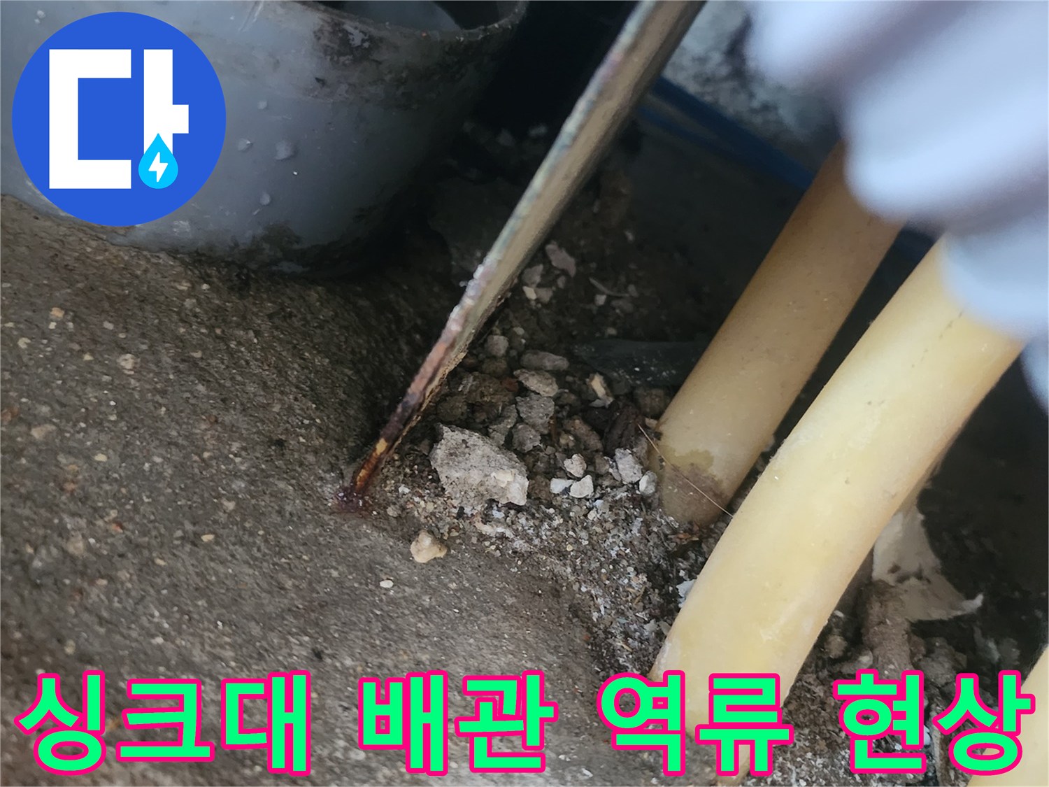 용인 기흥구 싱ｸ대-하수관-이물질-적체로-불러온-바닥-물샘-현장