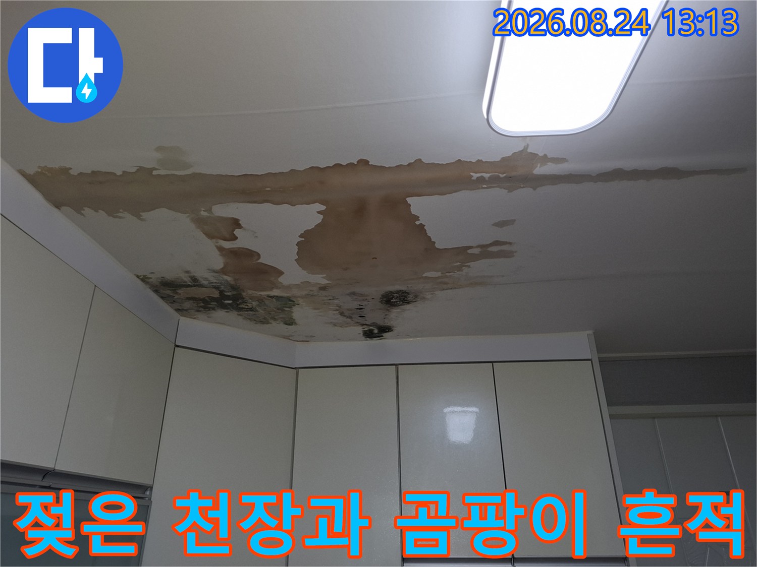 갈색으로 변색된 천장 마감재와 곰팡이가 피어난 부위