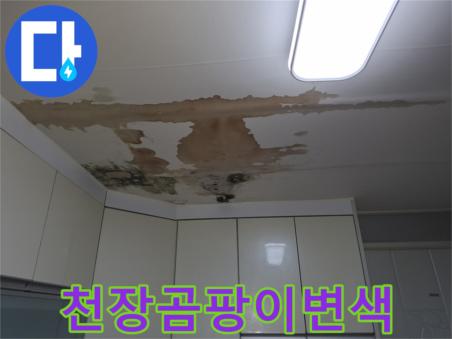 누수로 인해 물에 젖어 변색되고 곰팡이가 발생한 천장 마감재