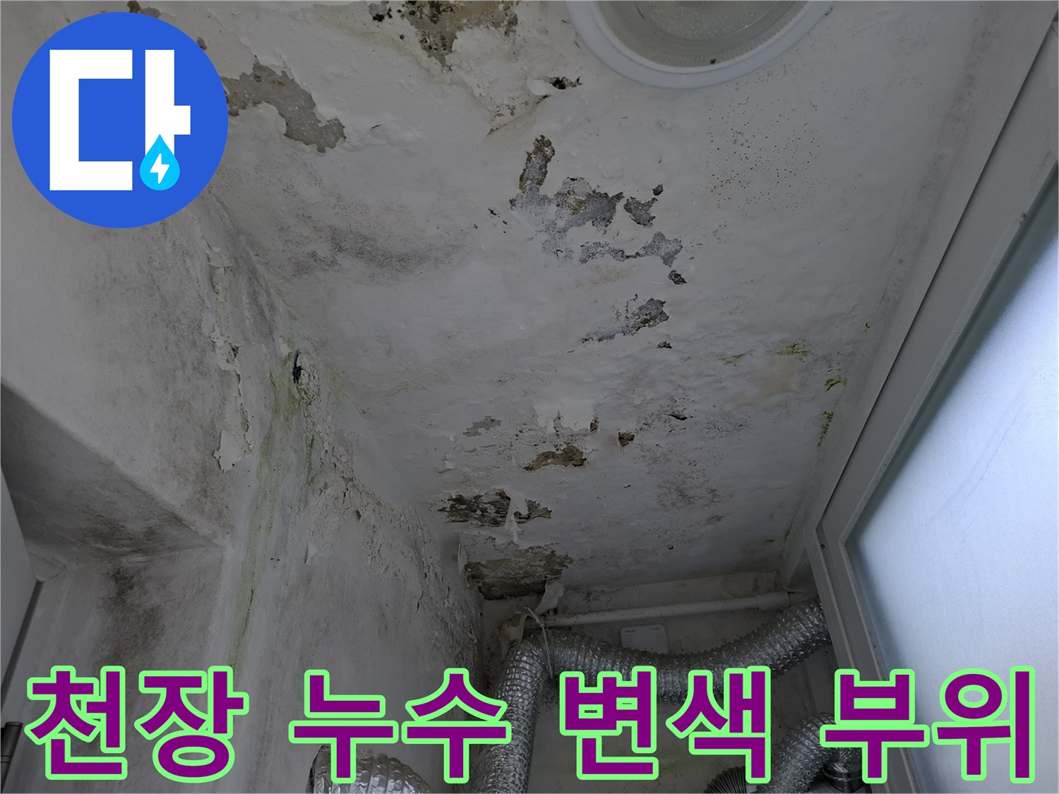 누수로 인해 오염된 주방 천장-곰팡이와 물자국이 남은 상태