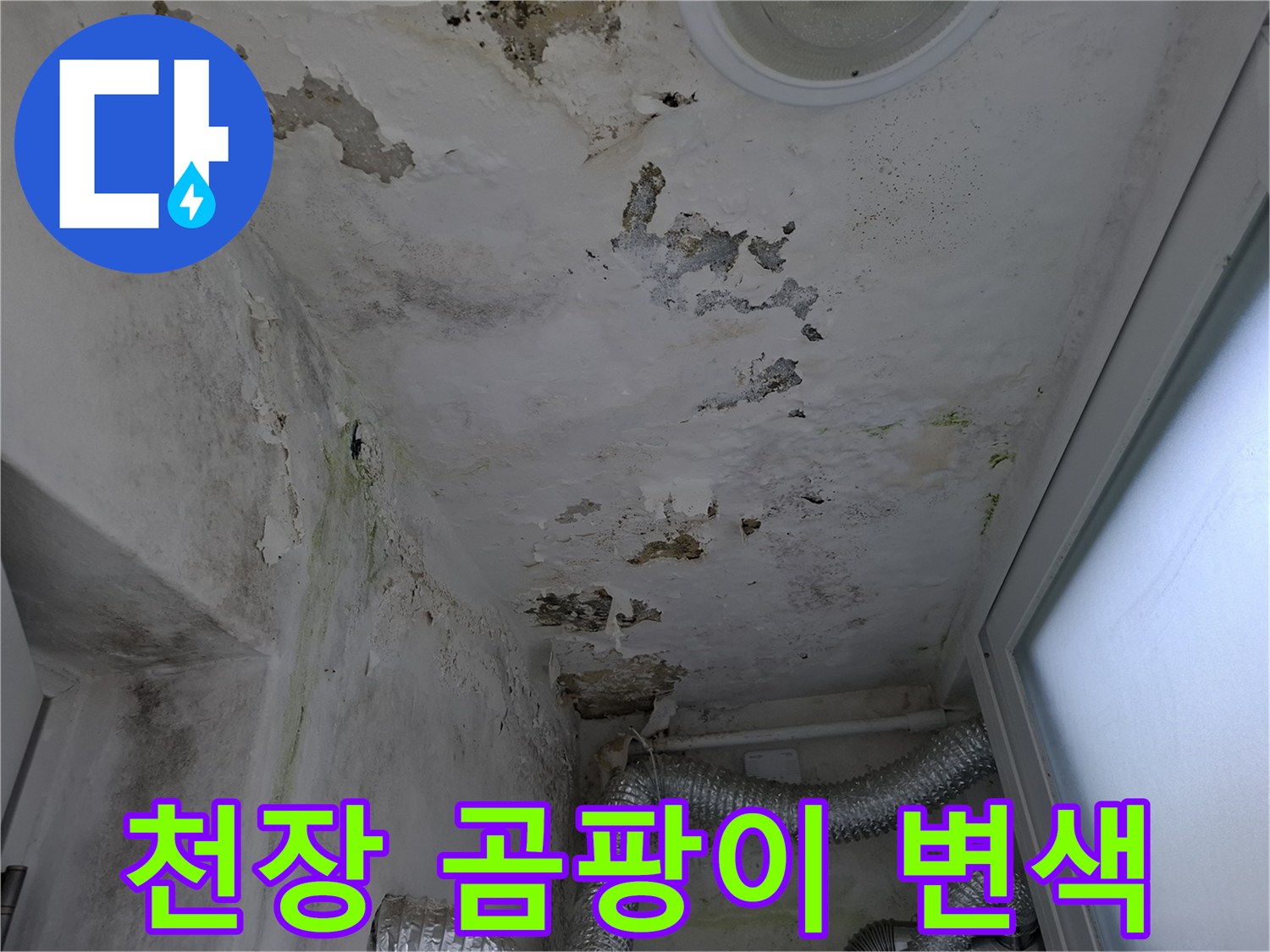 누수로 인해 오염된 천장 마감재의 전체적인 상태