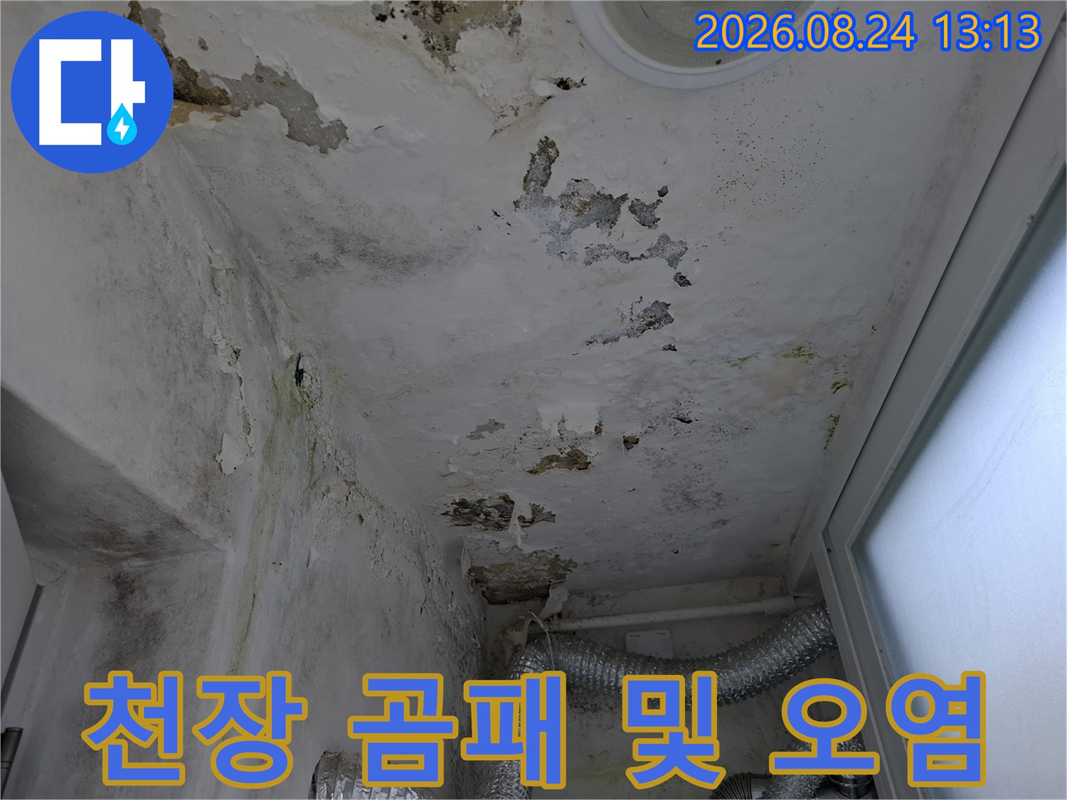 물샘으로 인해 변색되고 곰팡이가 번진 천장 마감면