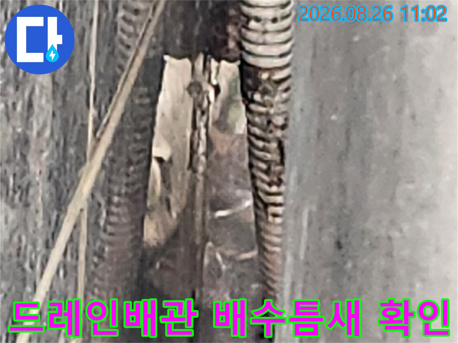 용인 처인구 양지읍 현장-드레인배관과 아스팔트 사이 틈새 점검 상황