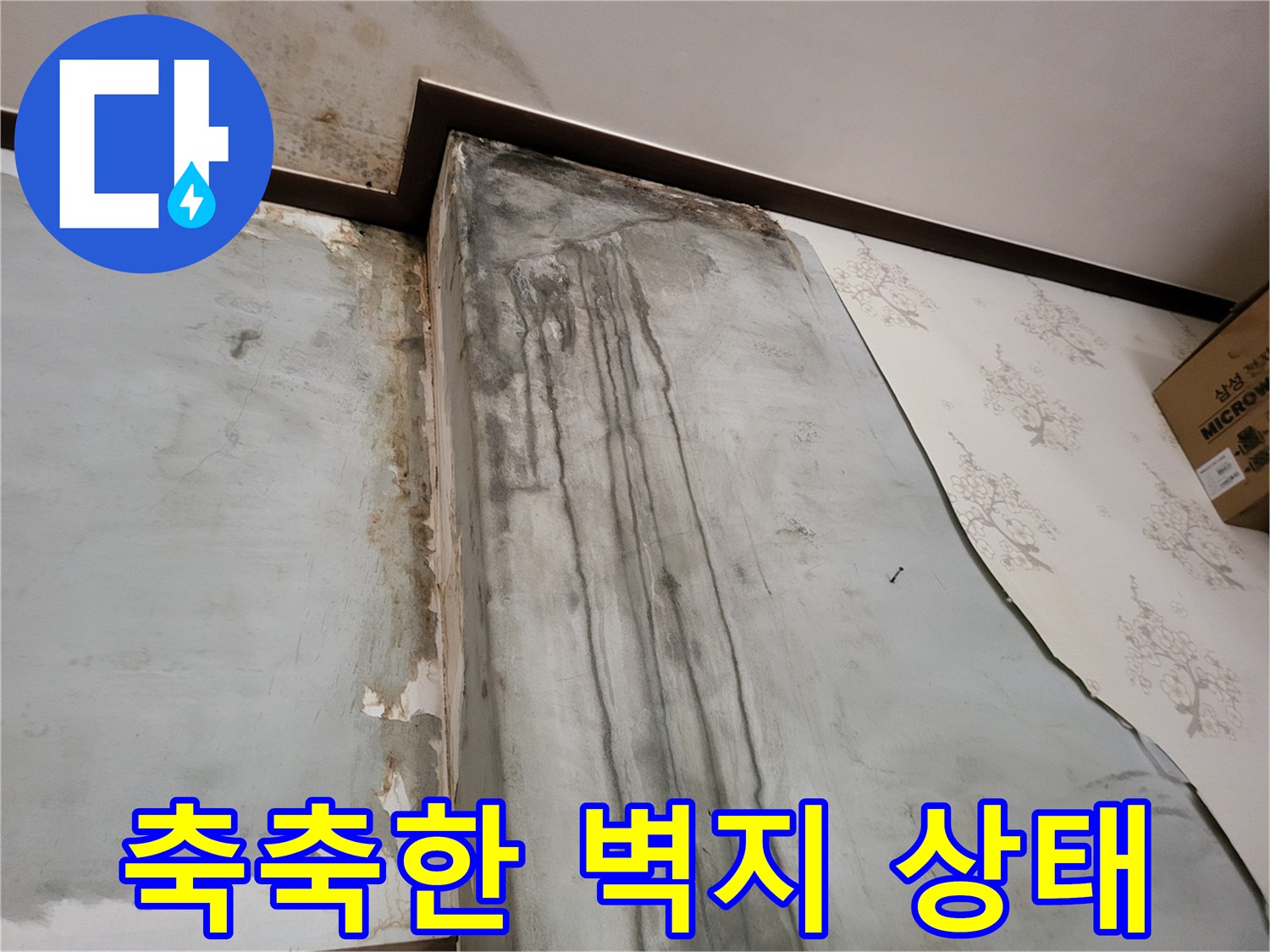 보령 남포면 현장-물자국이 선명한 곰팡이 핀 벽면